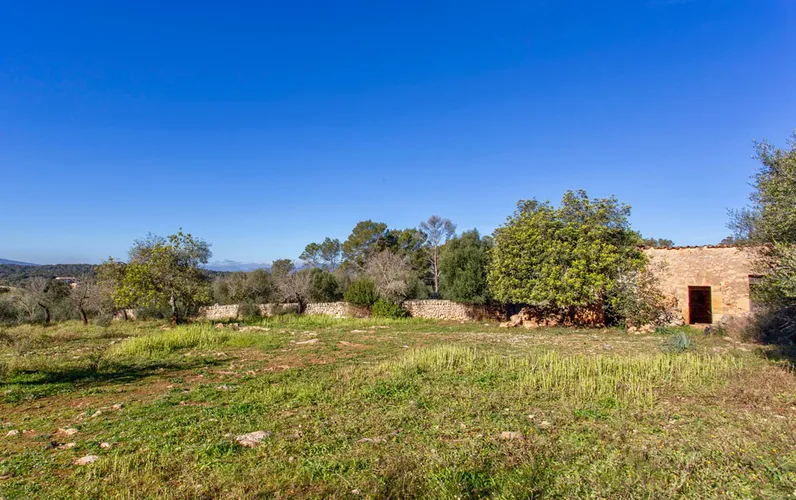 Piękna działka budowlana z ruinami w Costitx