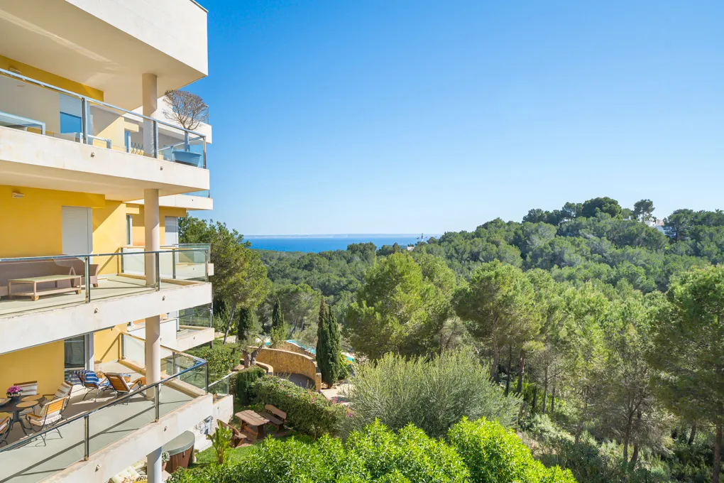 Magnifique appartement avec vue sur la mer-9