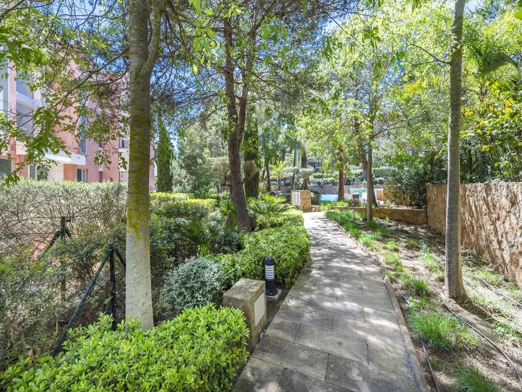 Apartament bonic amb vista a la mar-14