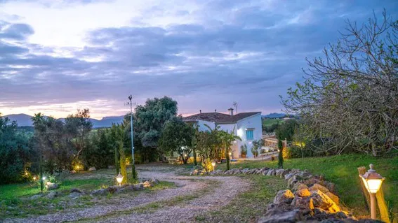 "Sa Capella" Temporary rental in Santa Margalida-26