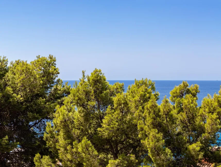 Villa Sirviola - Dit feriehus i Cala Llamp-25