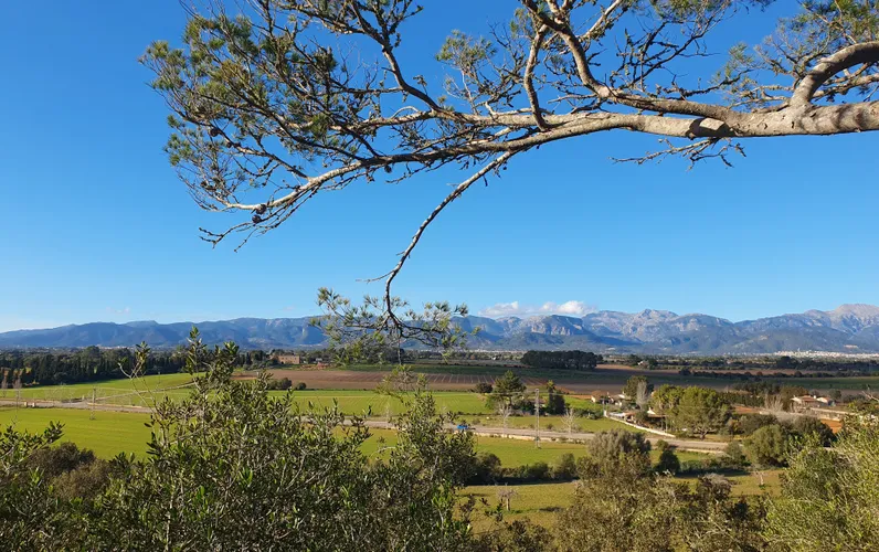 Splendida proprietà con vista sulla Serra de Tramuntana