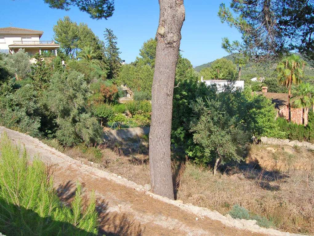 Double plot with spectacular views-3