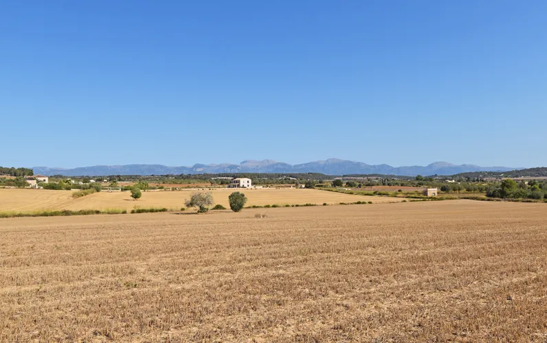 Duża działka budowlana w Algaida