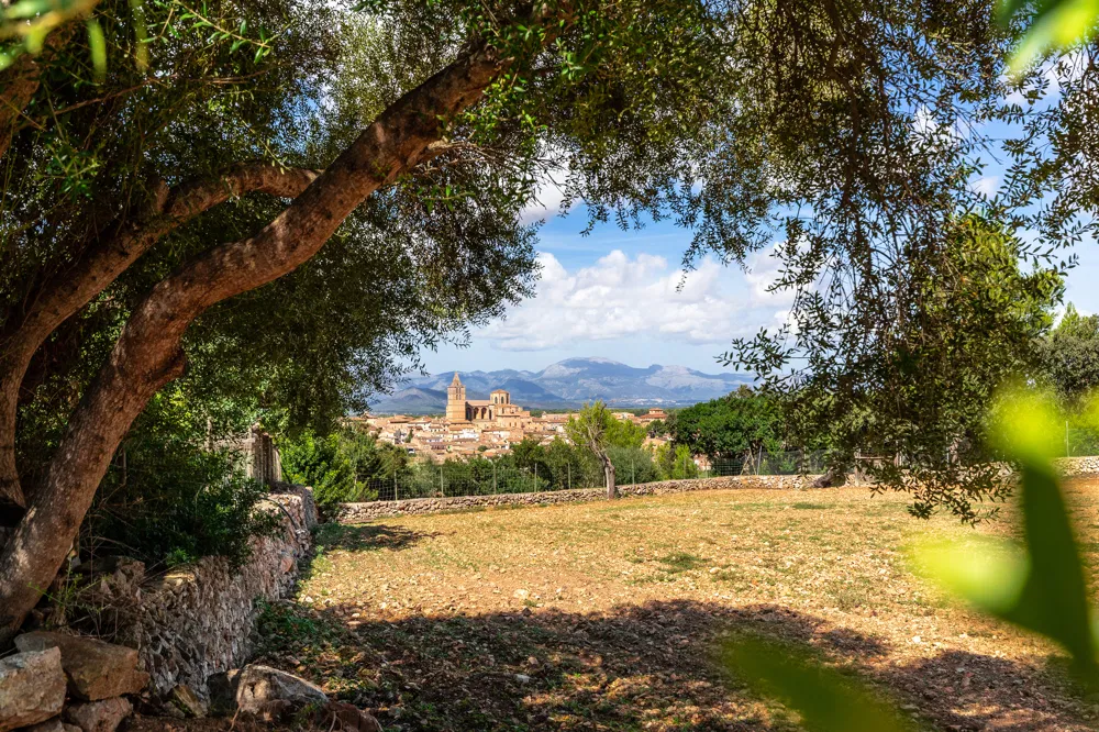 Charming hotel with pool terrace in the heart of Sineu-3