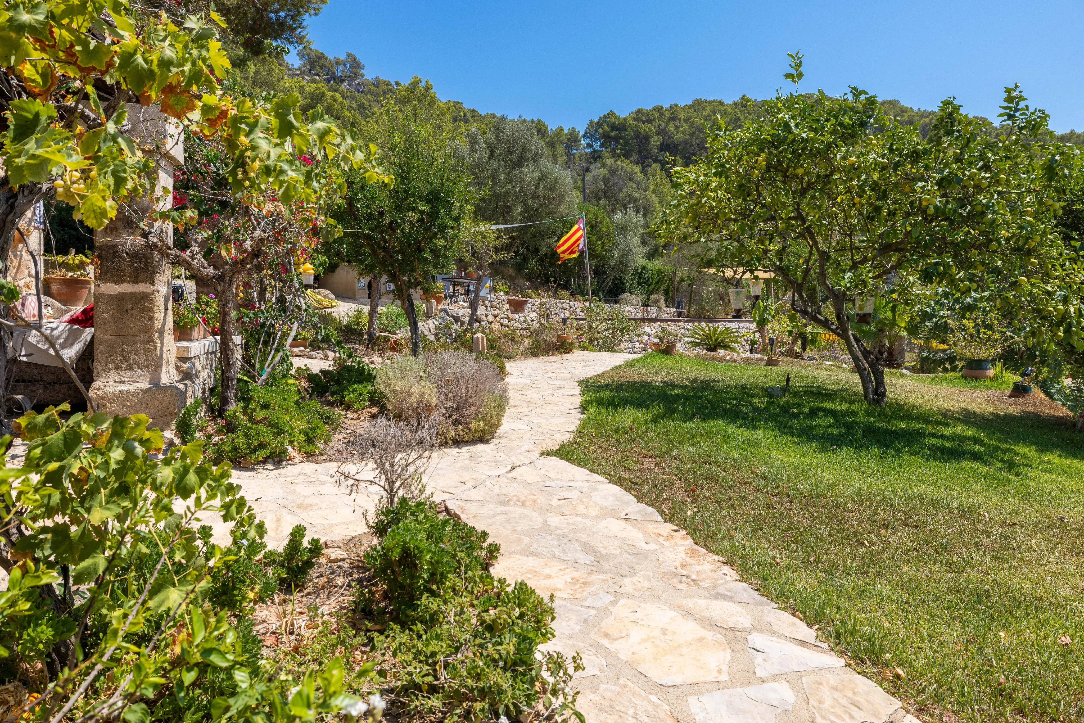 Authentieke finca met privacy bij S'Arracó-4