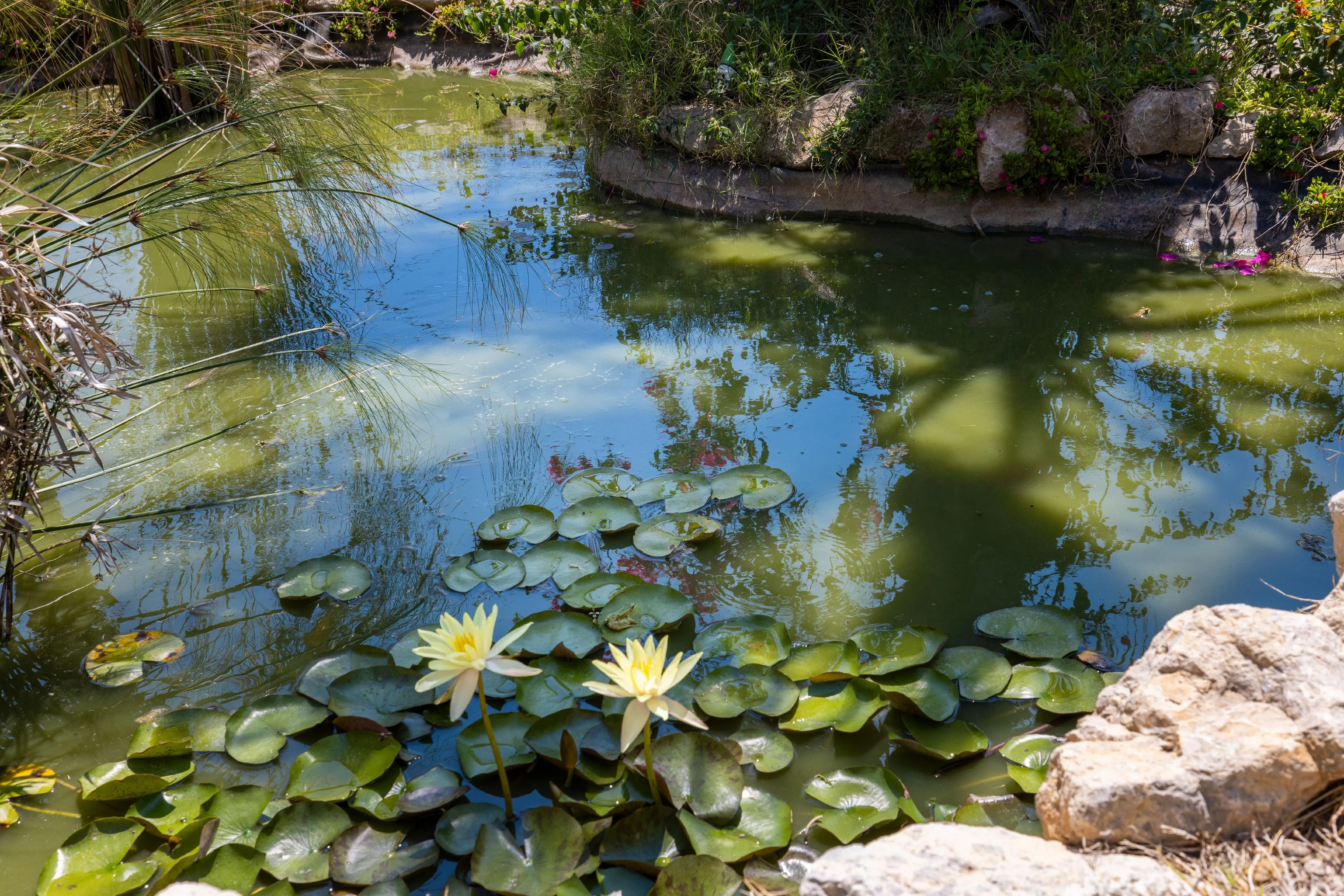 Authentieke finca met privacy bij S'Arracó-24