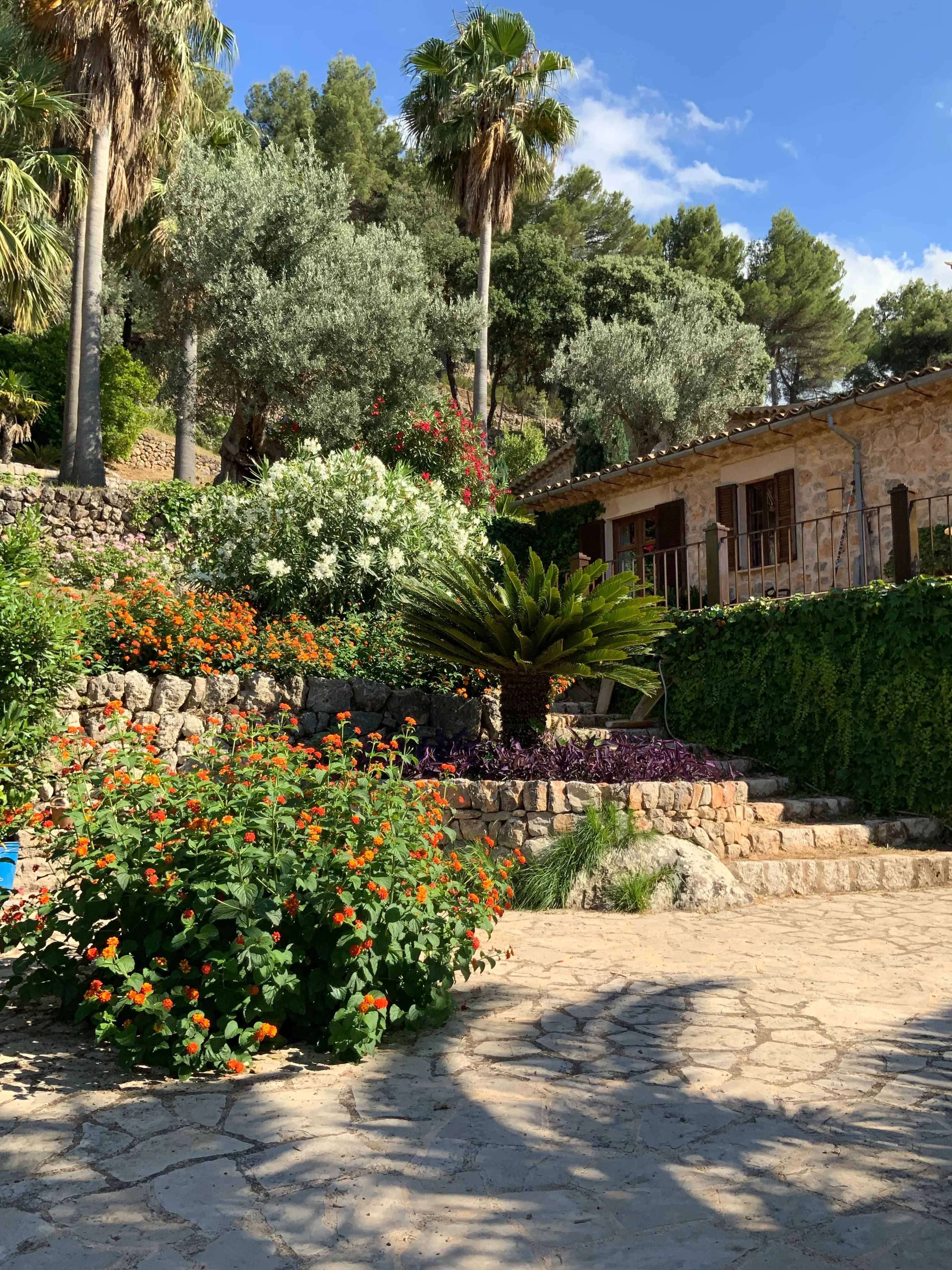 Finca romántica con impresionantes vistas al mar y puestas de sol-6
