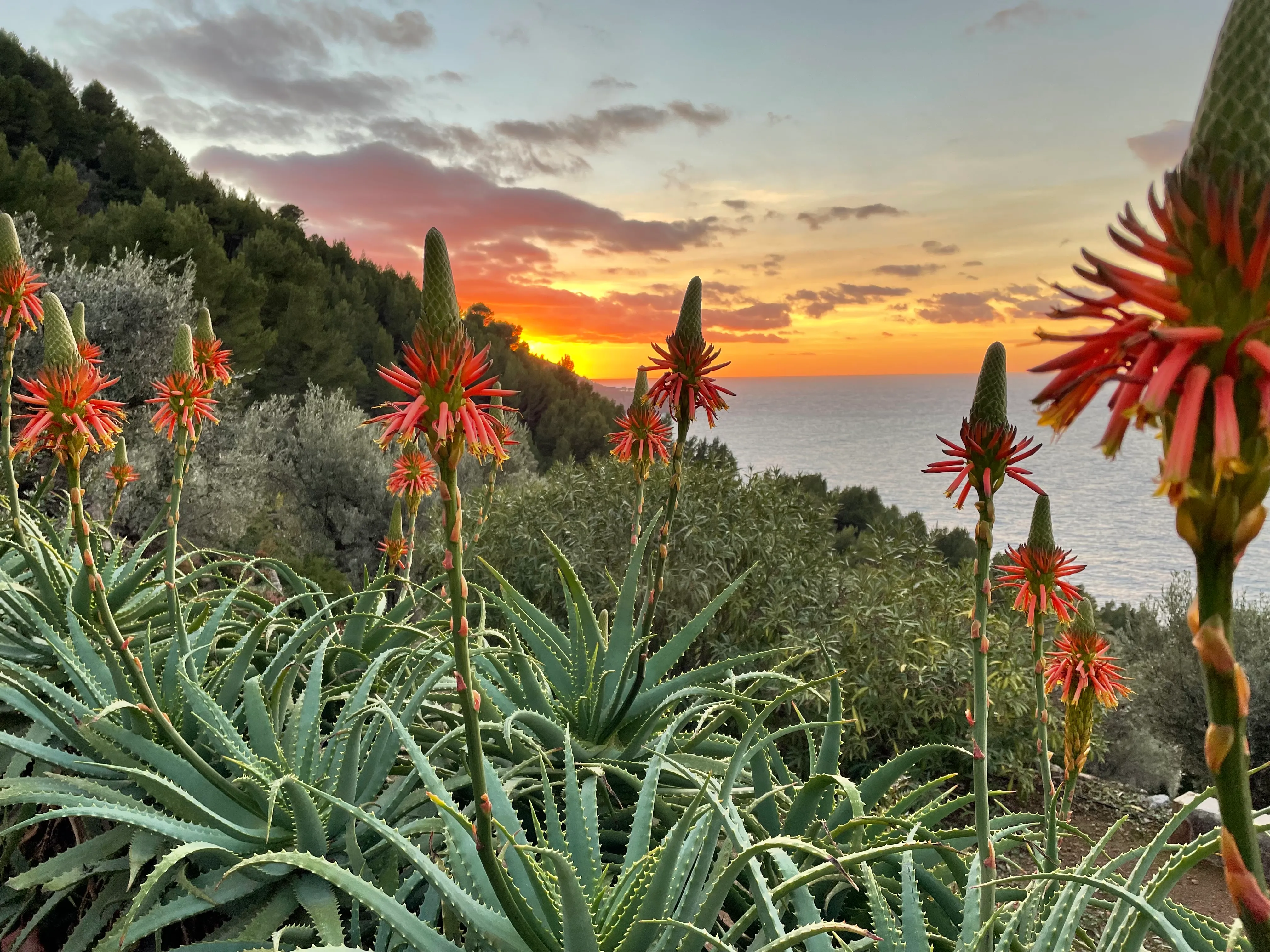 Finca romántica con impresionantes vistas al mar y puestas de sol-12