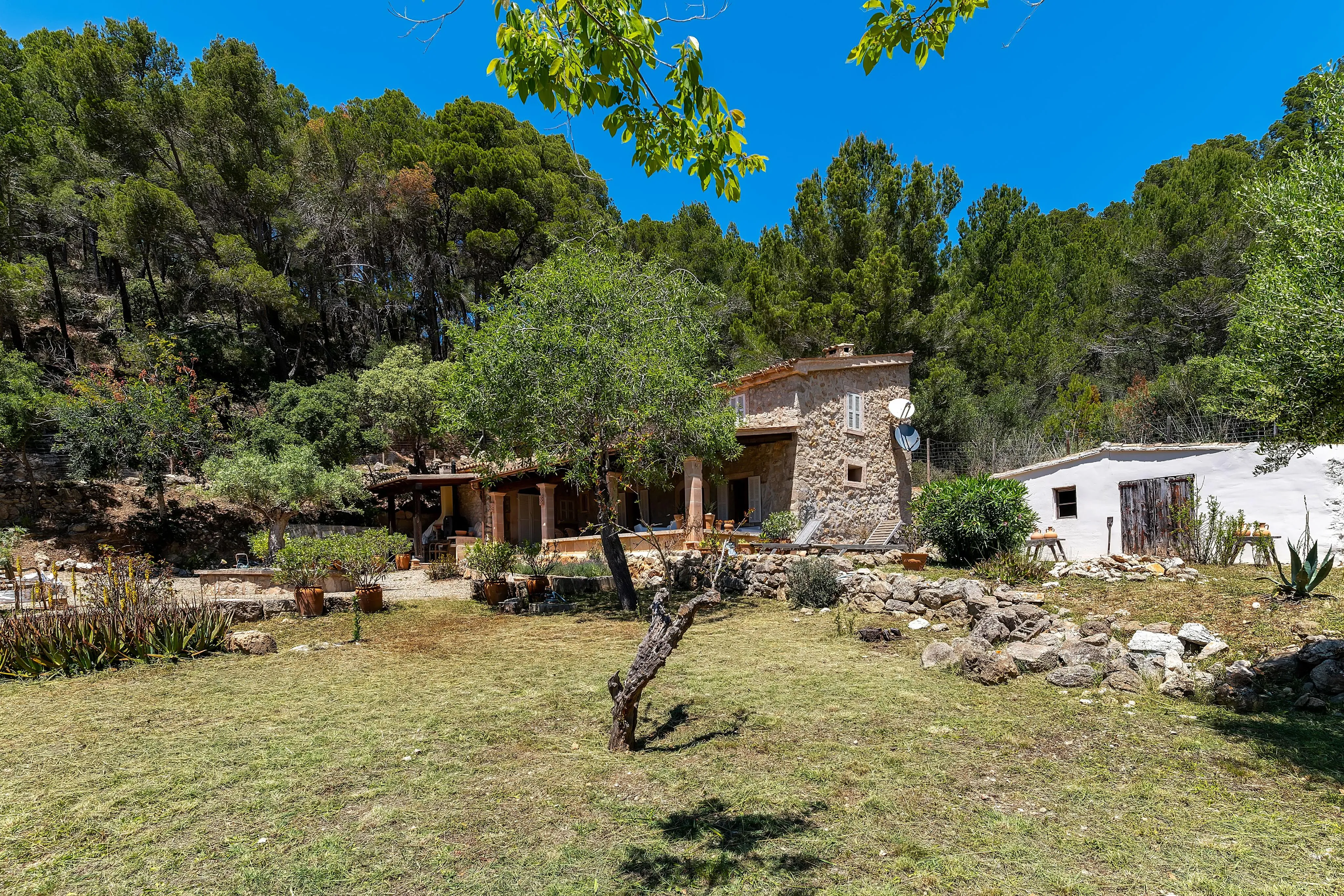 Finca in ruhiger Lage mit viel Privatsphäre-21