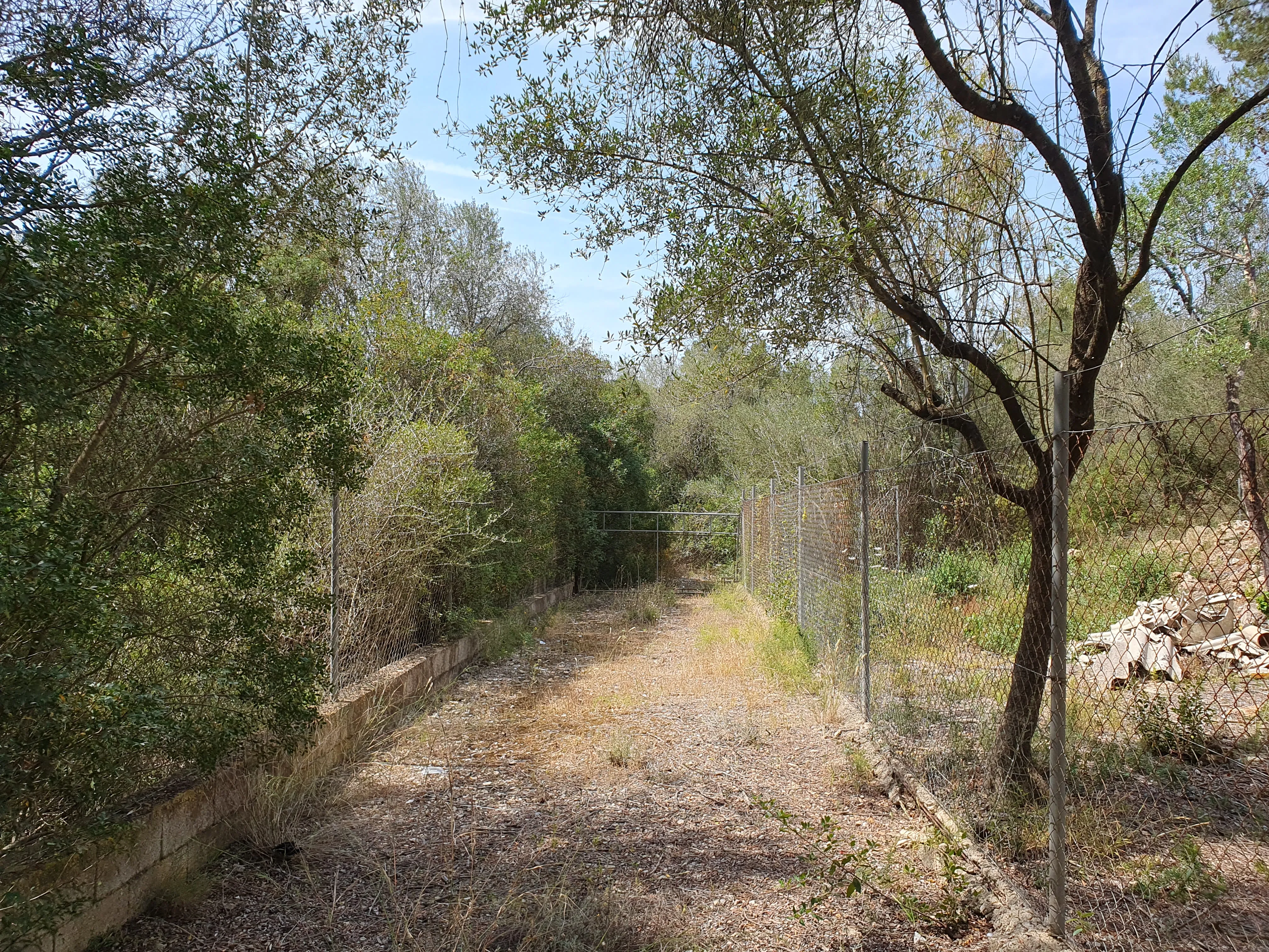 Idyllisk byggegrund med projekt i Sencelles-7