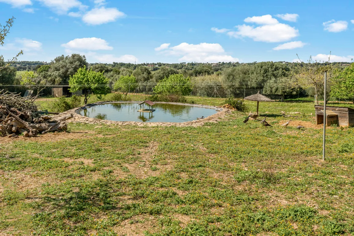 Historic natural stone finca, renovated with great attention to detail and offering breathtaking landscape views-14