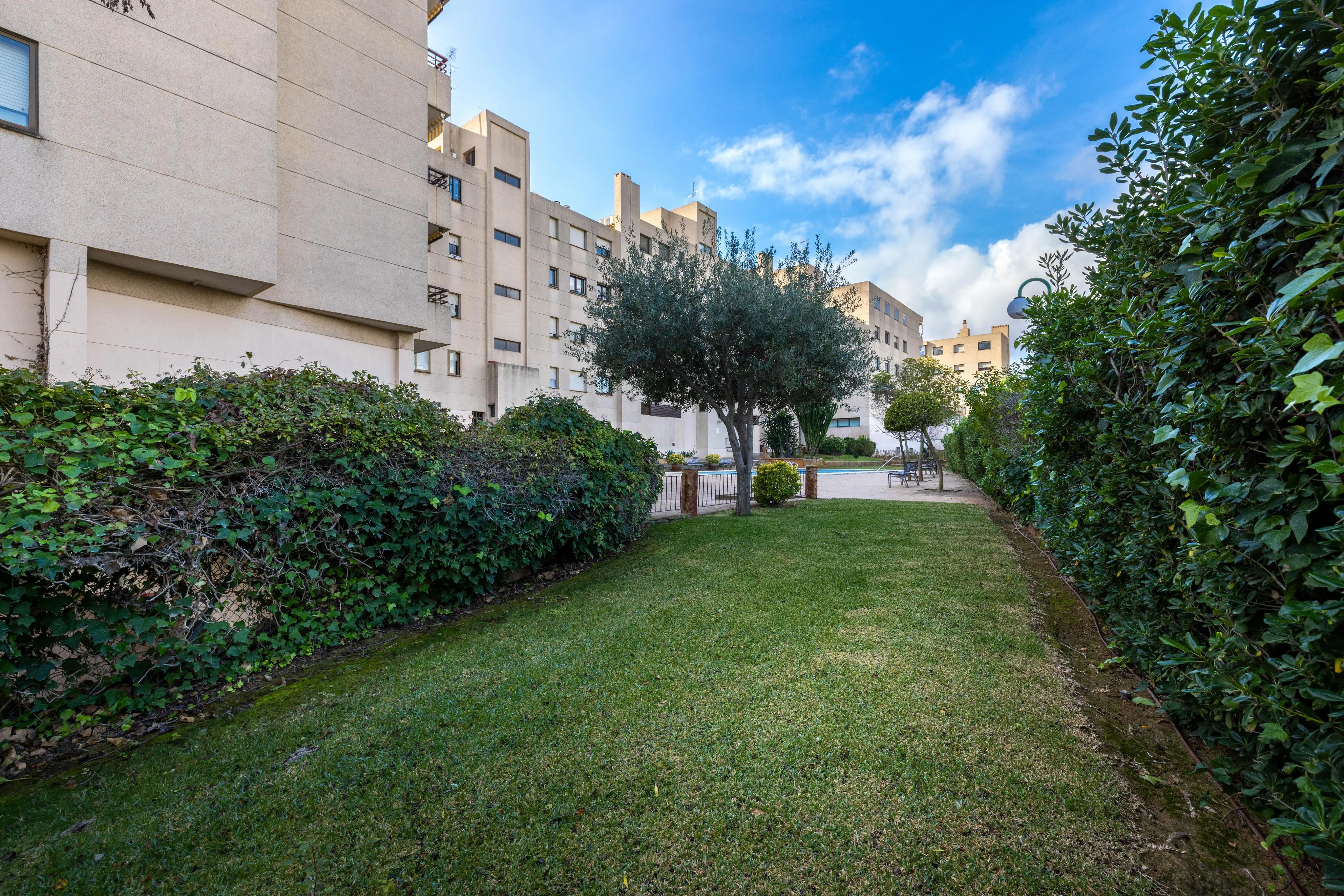 Elegante piso con gran potencial en Sa Teulera-14