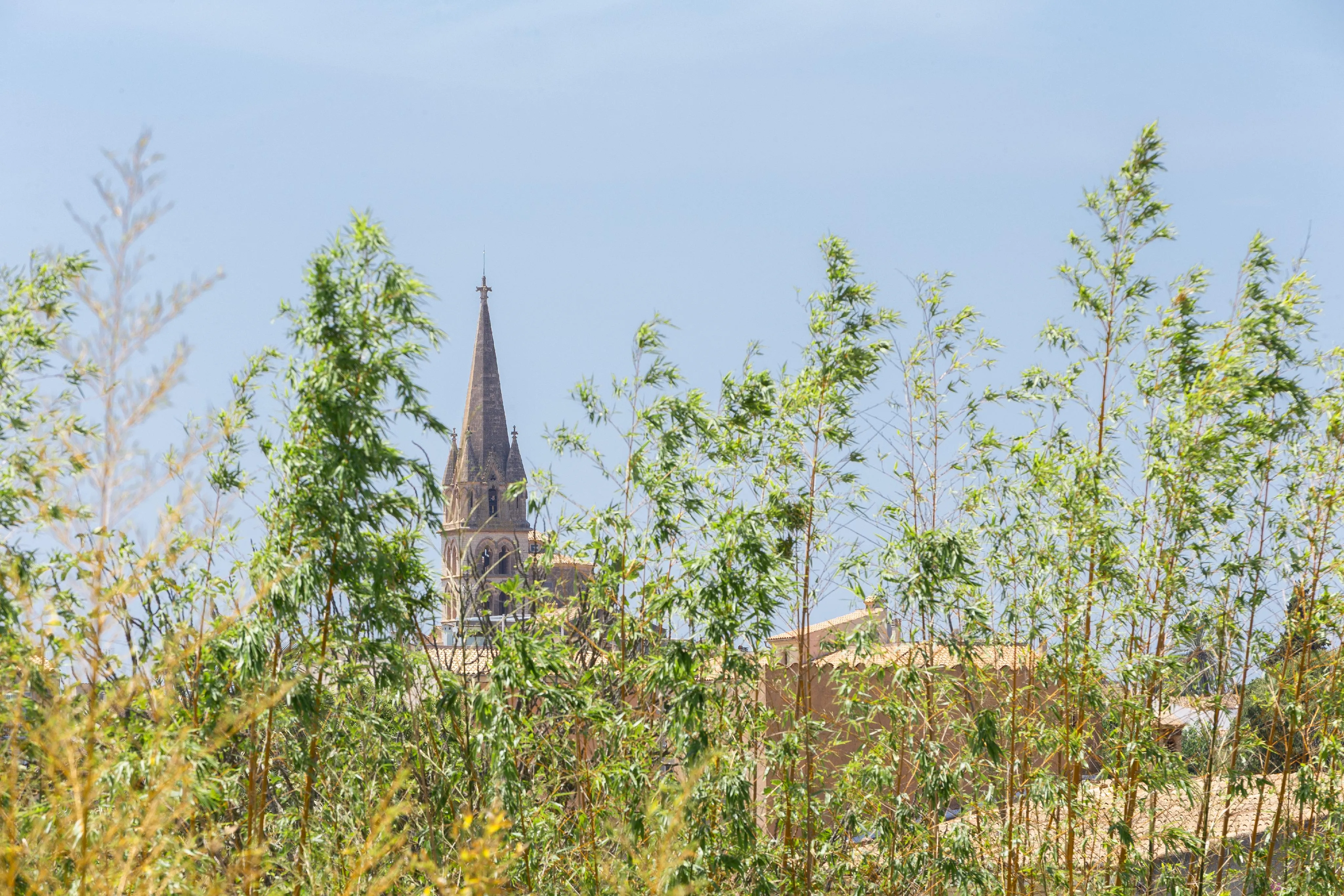 Country house with holiday rental licence in Binissalem-17