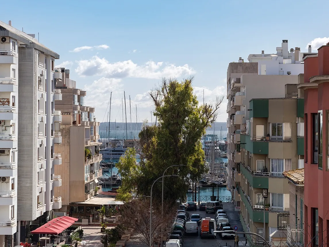 Beautiful Apartment in Son Armadams-16