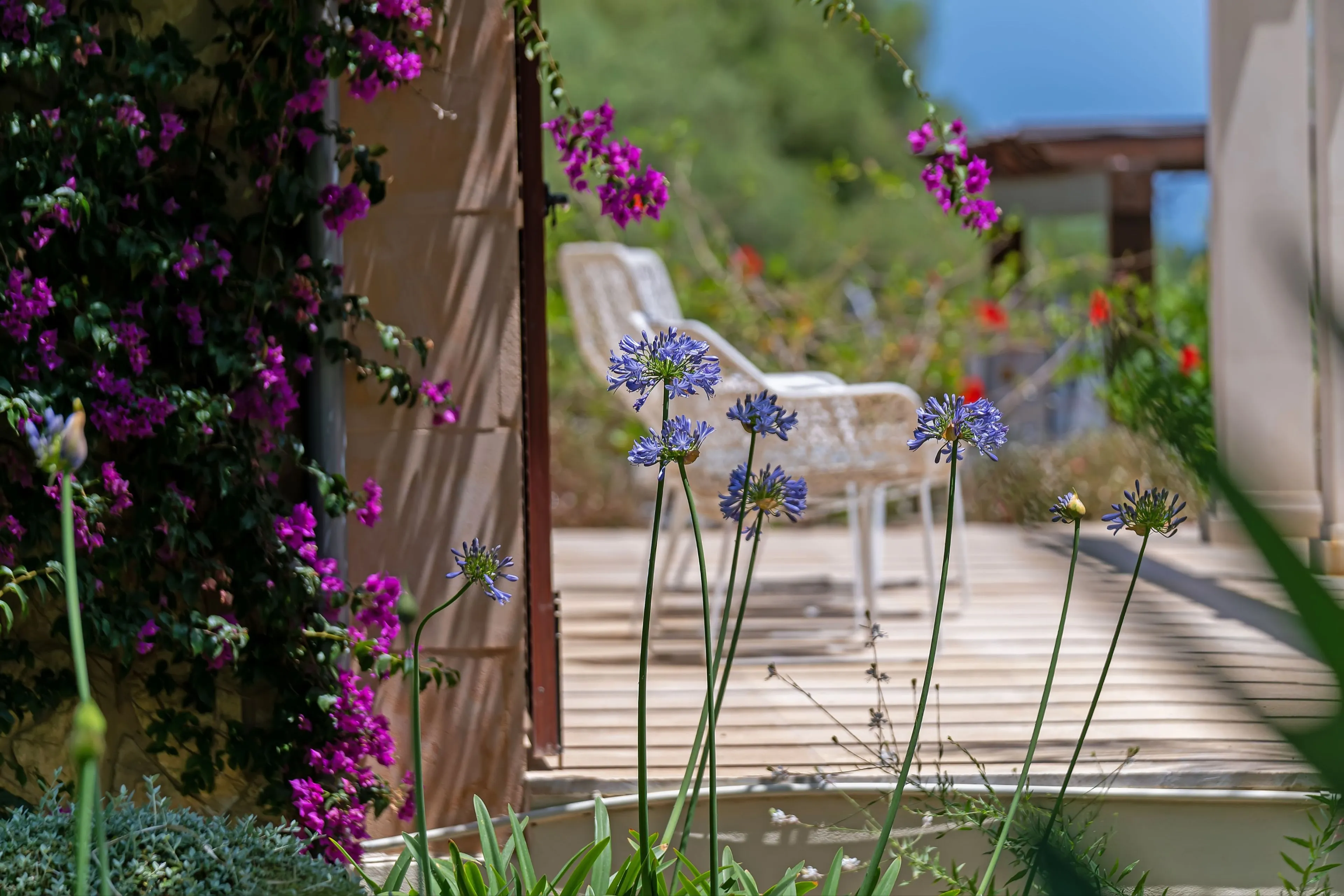 Elegante finca de 6 dormitorios con casa de invitados, piscina y vistas a la montaña en Pollensa-15
