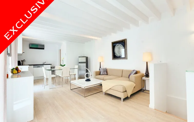 Эксклюзивная квартира рядом с Пасео Борне