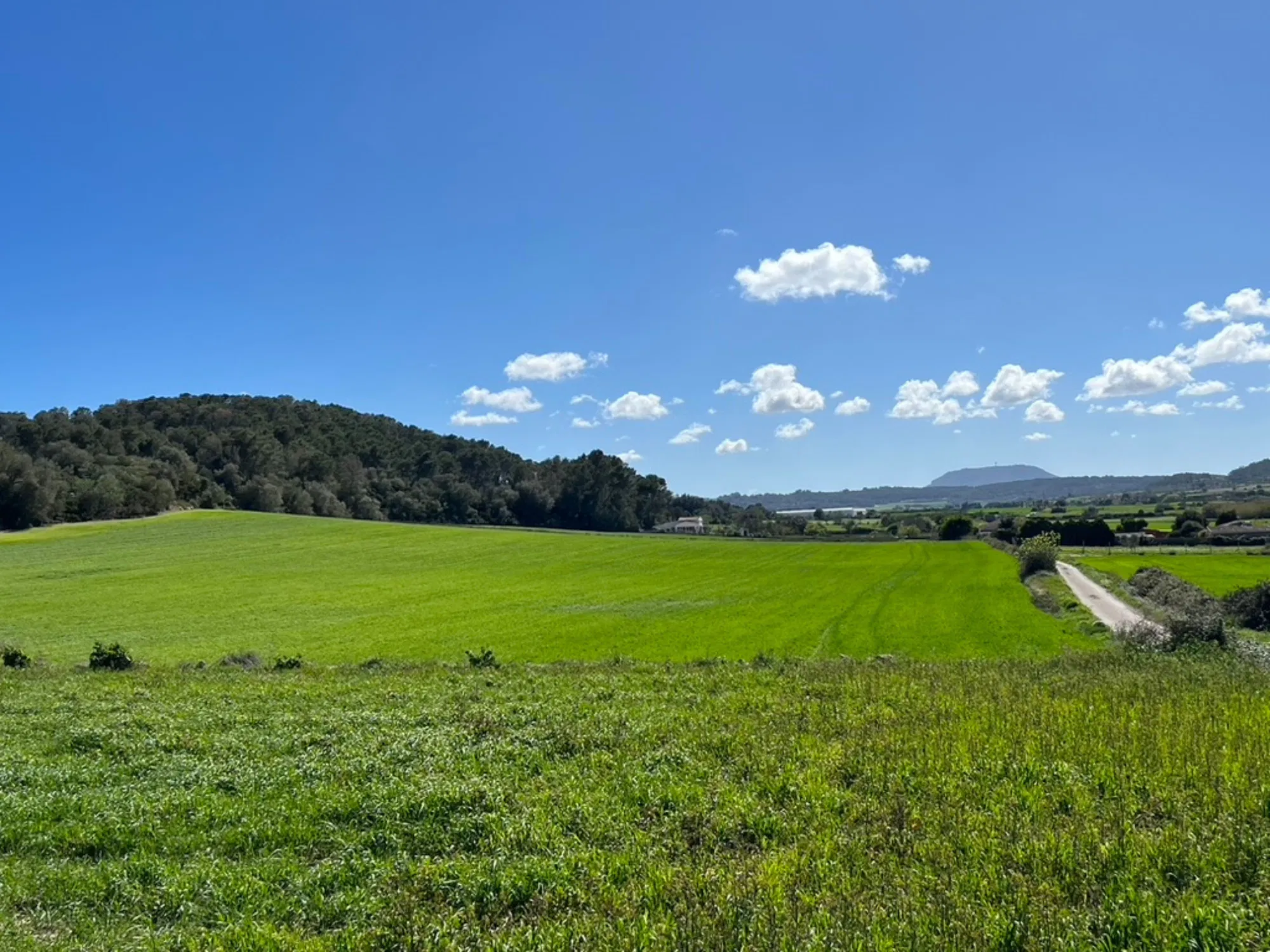 Three charming plots with views and project in Sant Joan-1
