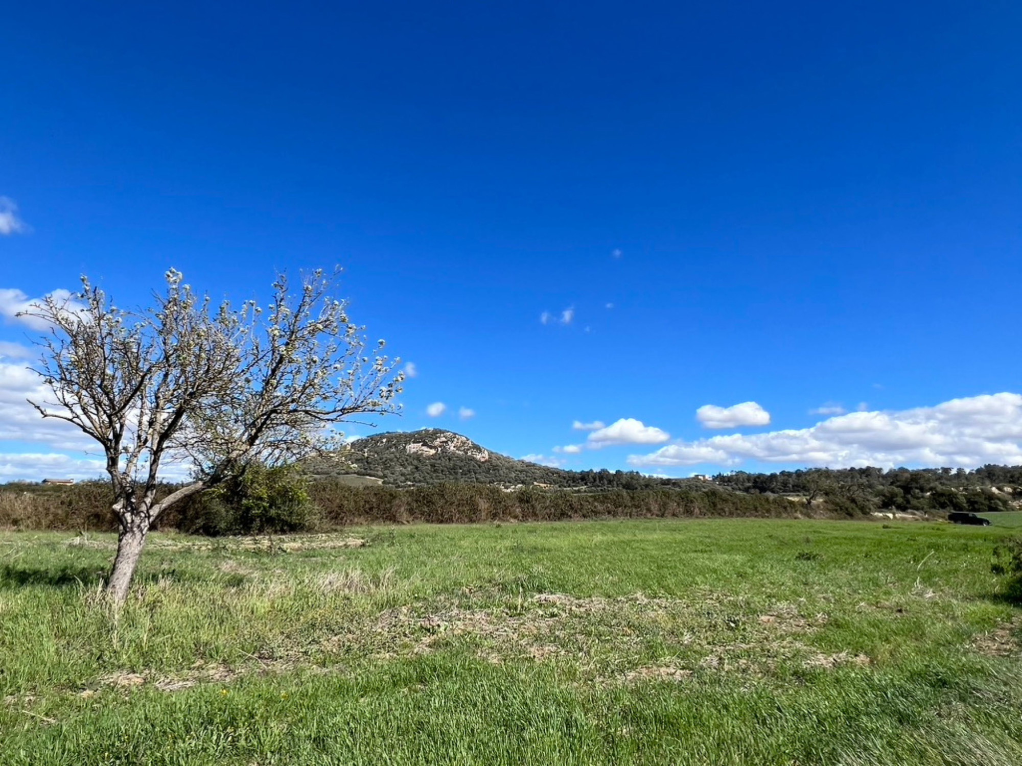 Three charming plots with views and project in Sant Joan-4