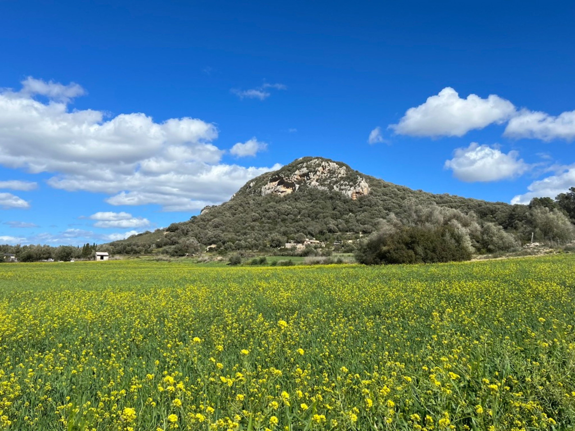 Three charming plots with views and project in Sant Joan-5