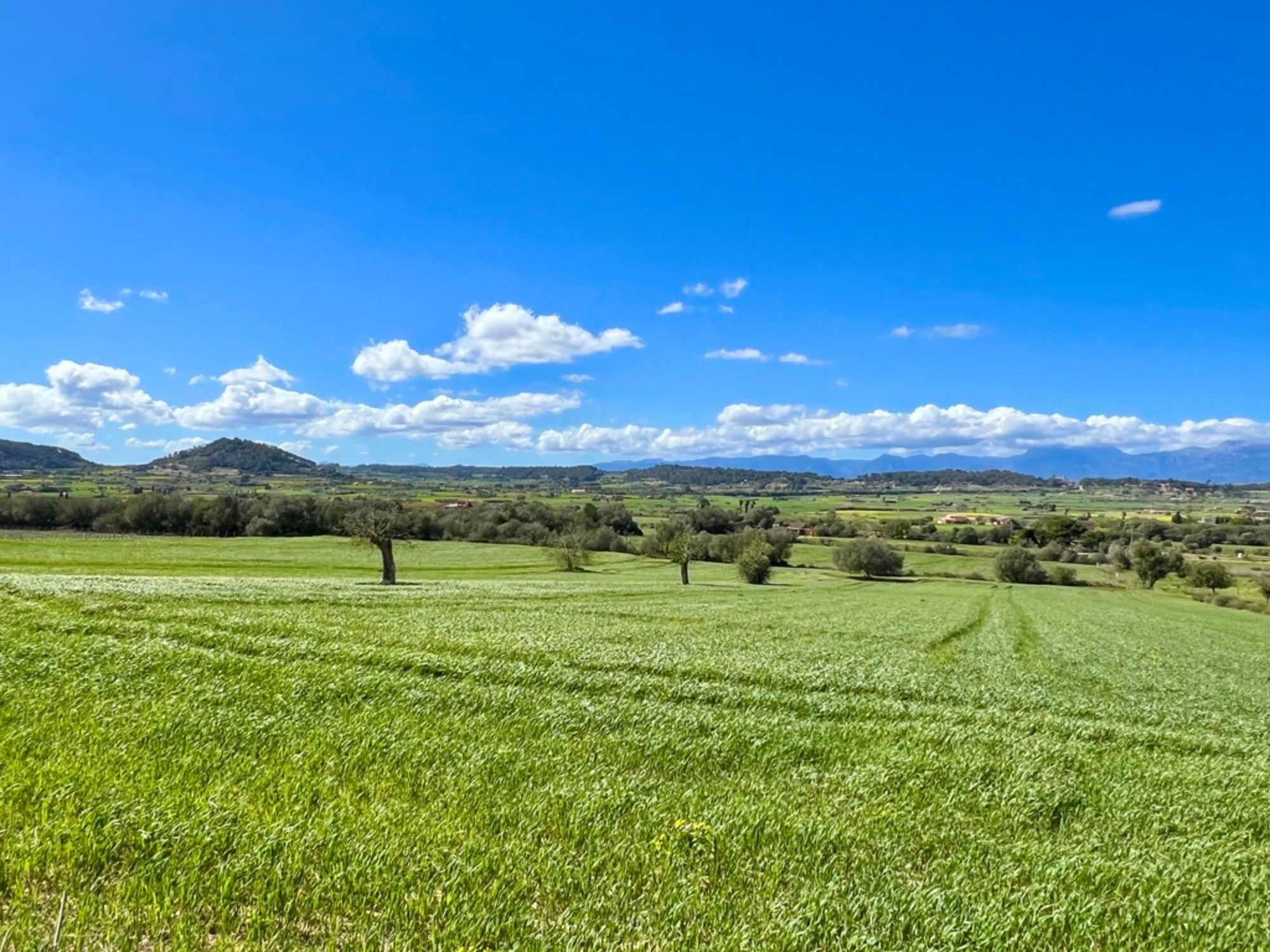 Three charming plots with views and project in Sant Joan-2