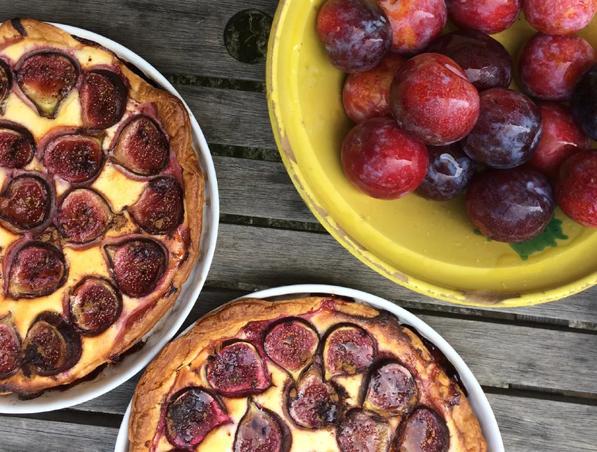 "LA SERRANIA". Ferienvermietung in Campanet-17