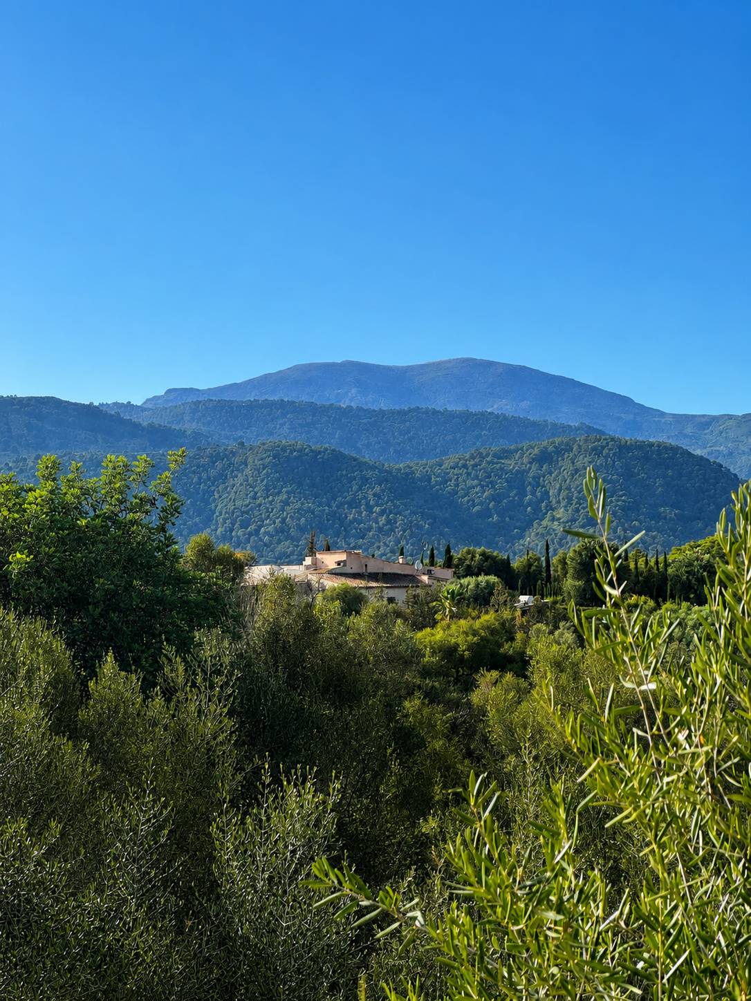 Urban plots with views – Investment opportunity in Campanet