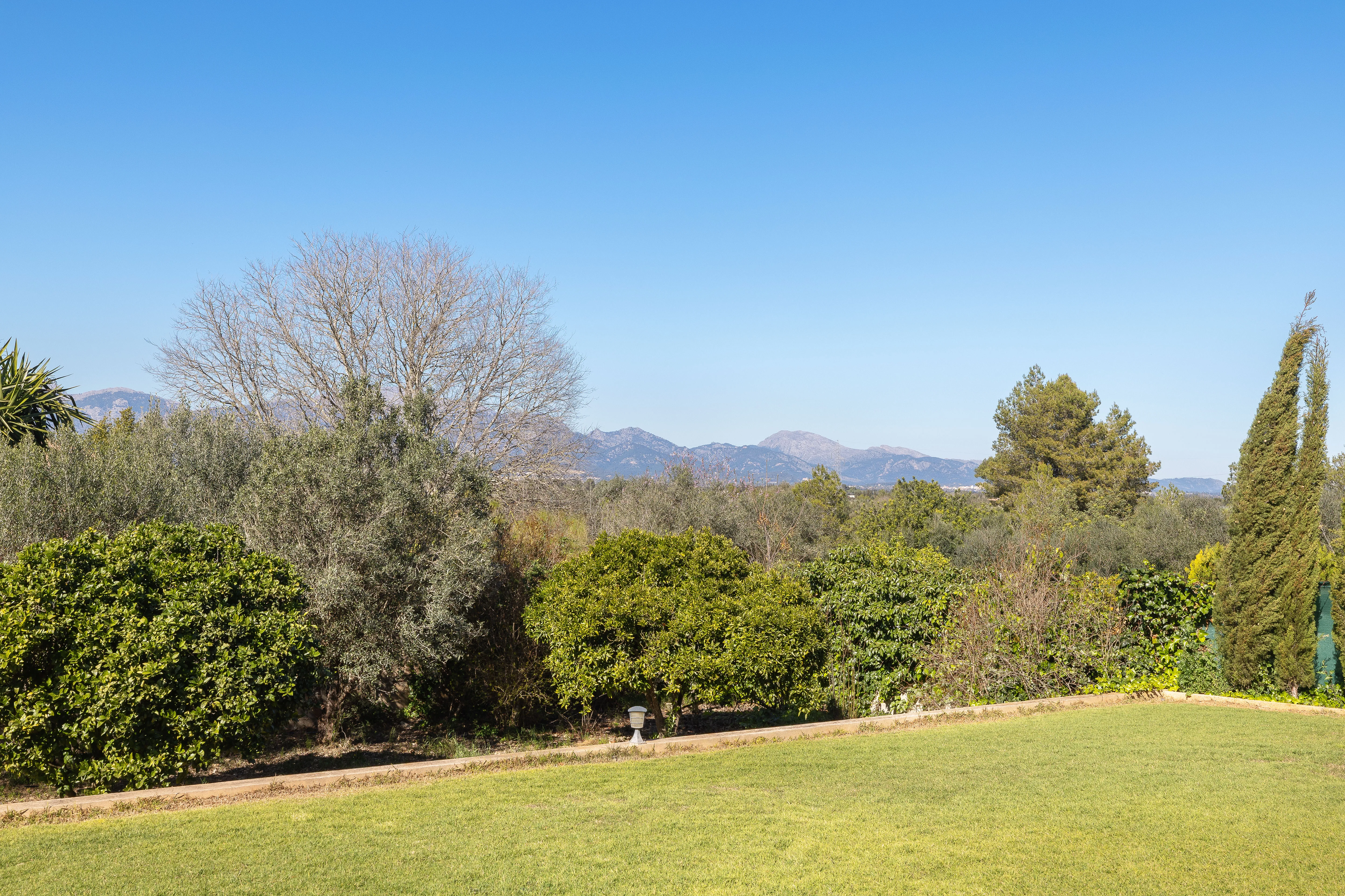 Finca renovada amb vista a la Serra de Tramuntana prop de Biniali-14
