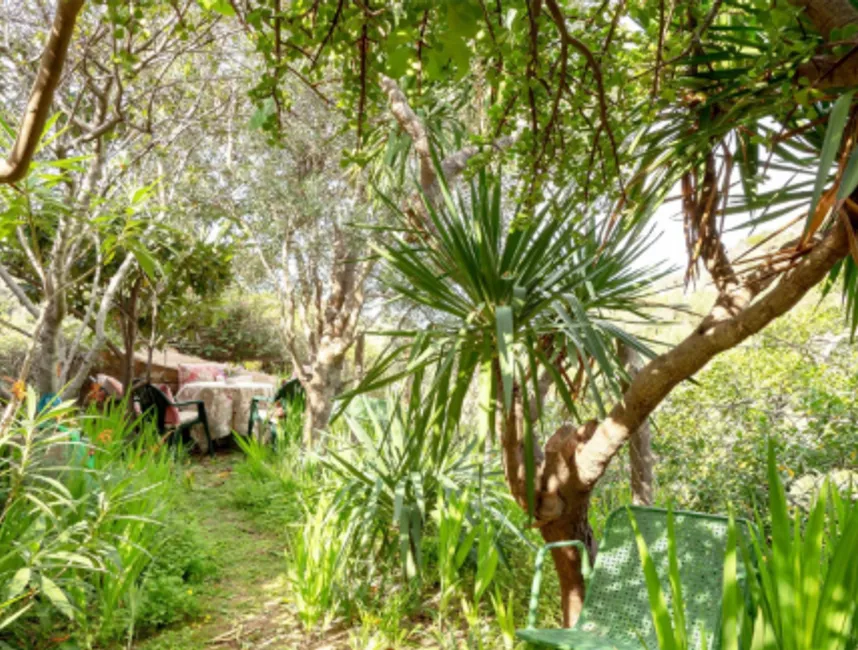 Charmerende traditionelt byhus med bjergudsigt i hjertet af Deia - Feriebolig ETV/11924-16