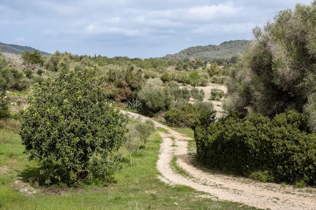Finca con vista al mar y arquitectura moderna-19
