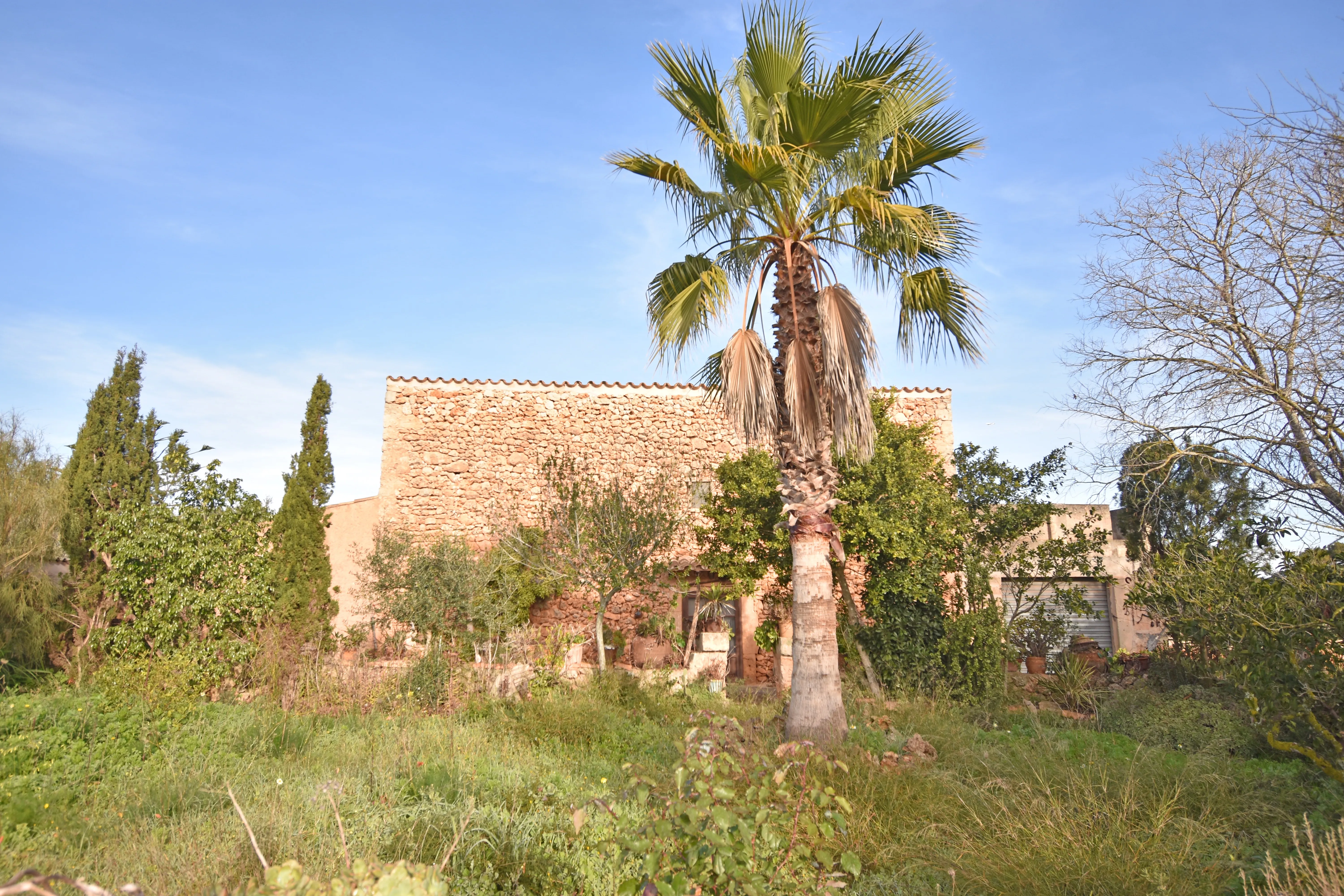 Autèntica casa de camp per a reformar-2