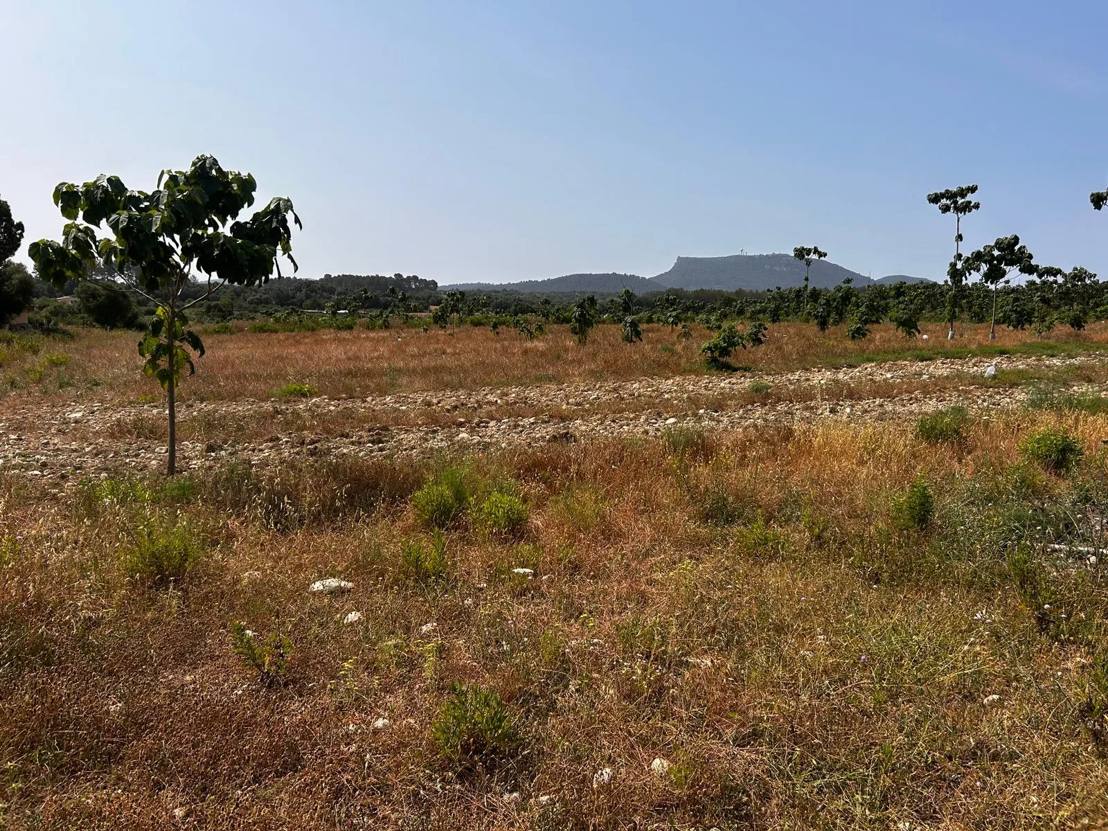 Terreny edificable situat en un entorn idíl·lic-3