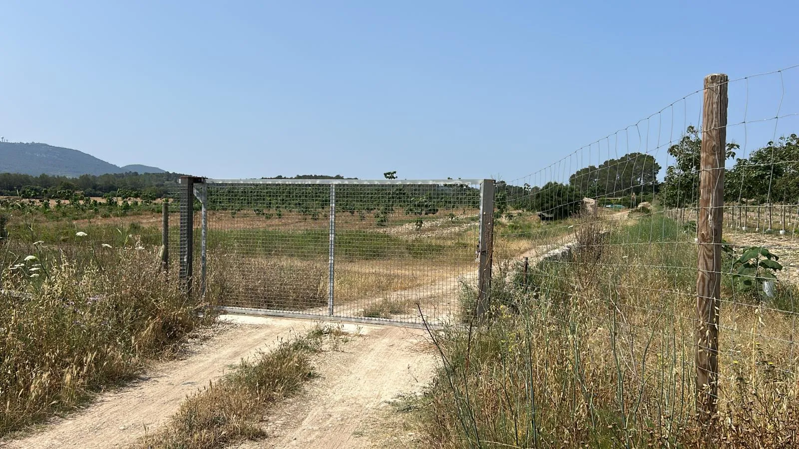 Terreny edificable situat en un entorn idíl·lic-6