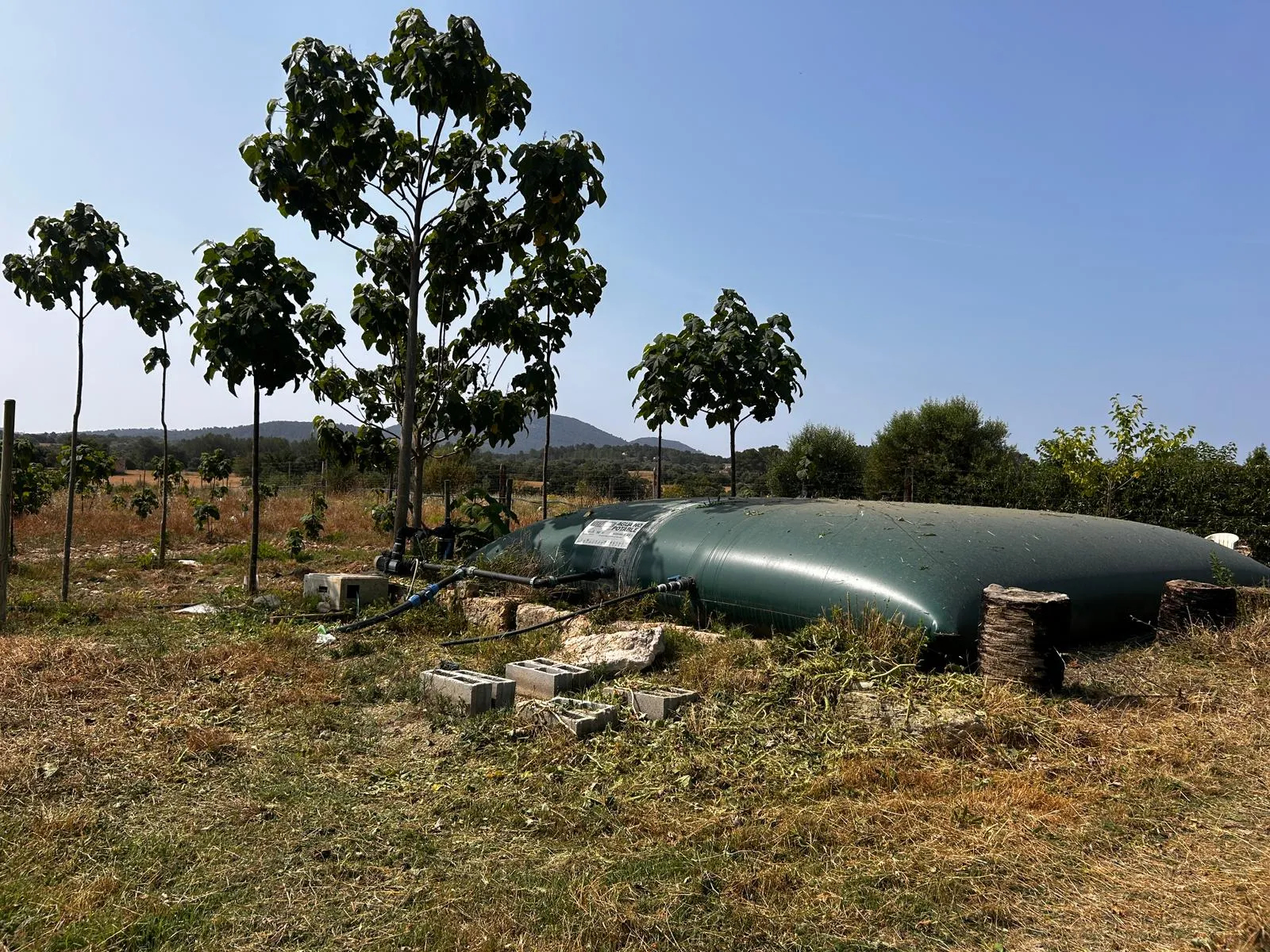 Terreny edificable situat en un entorn idíl·lic-5