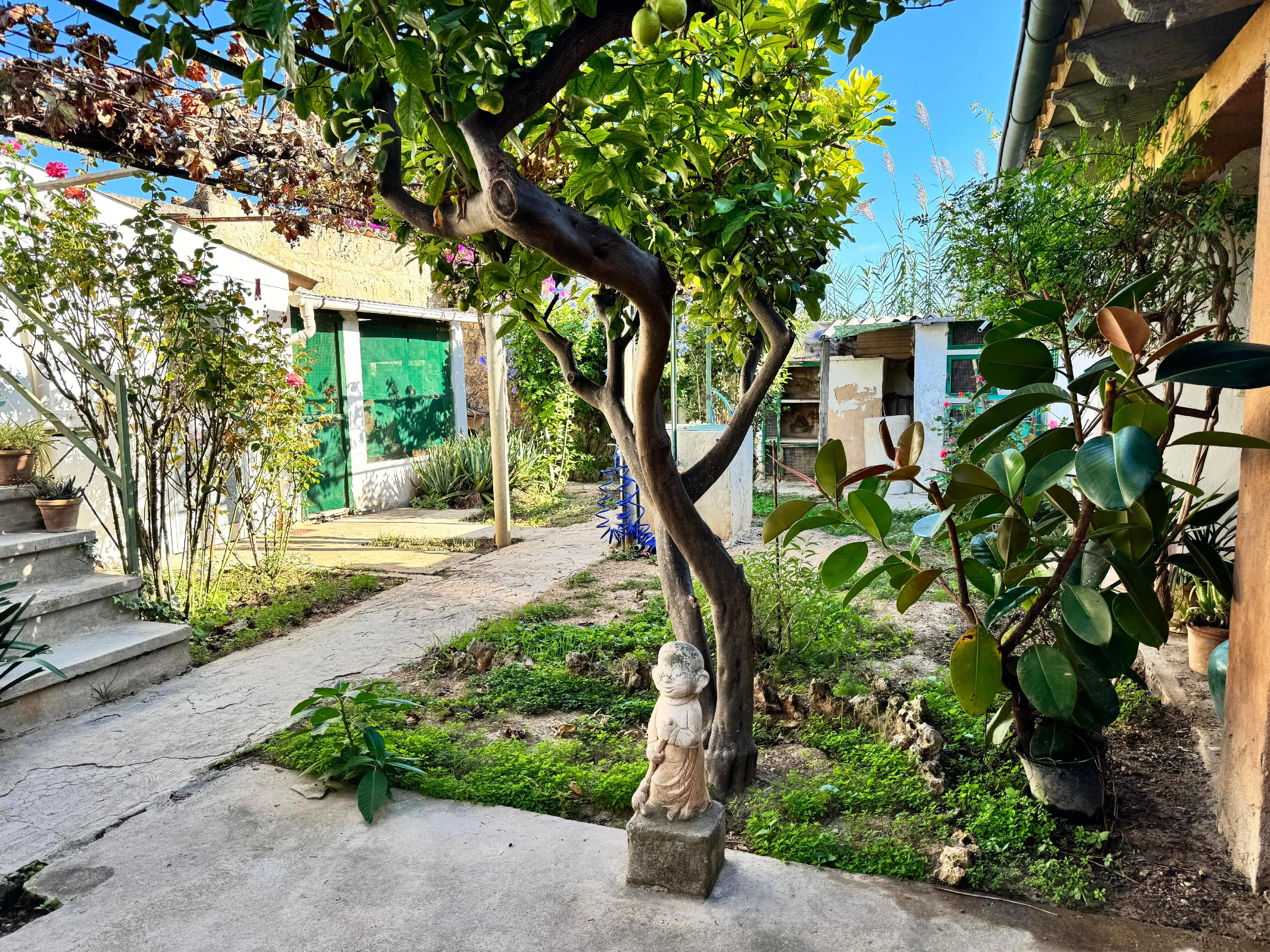 Maison de ville de plain-pied avec potentiel d'agrandissement et magnifique jardin-4