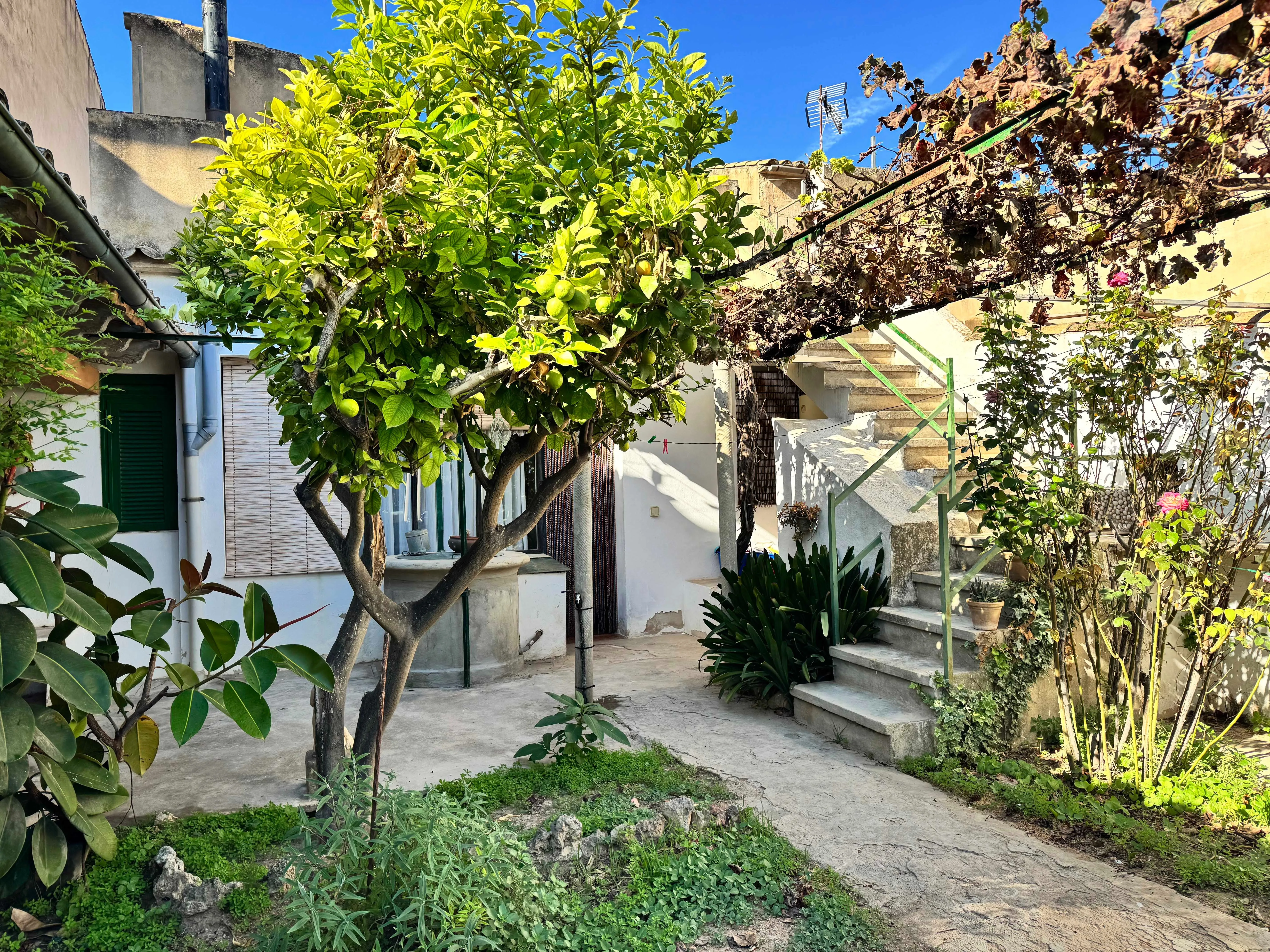 Ground-floor townhouse with expansion potential and beautiful garden-1