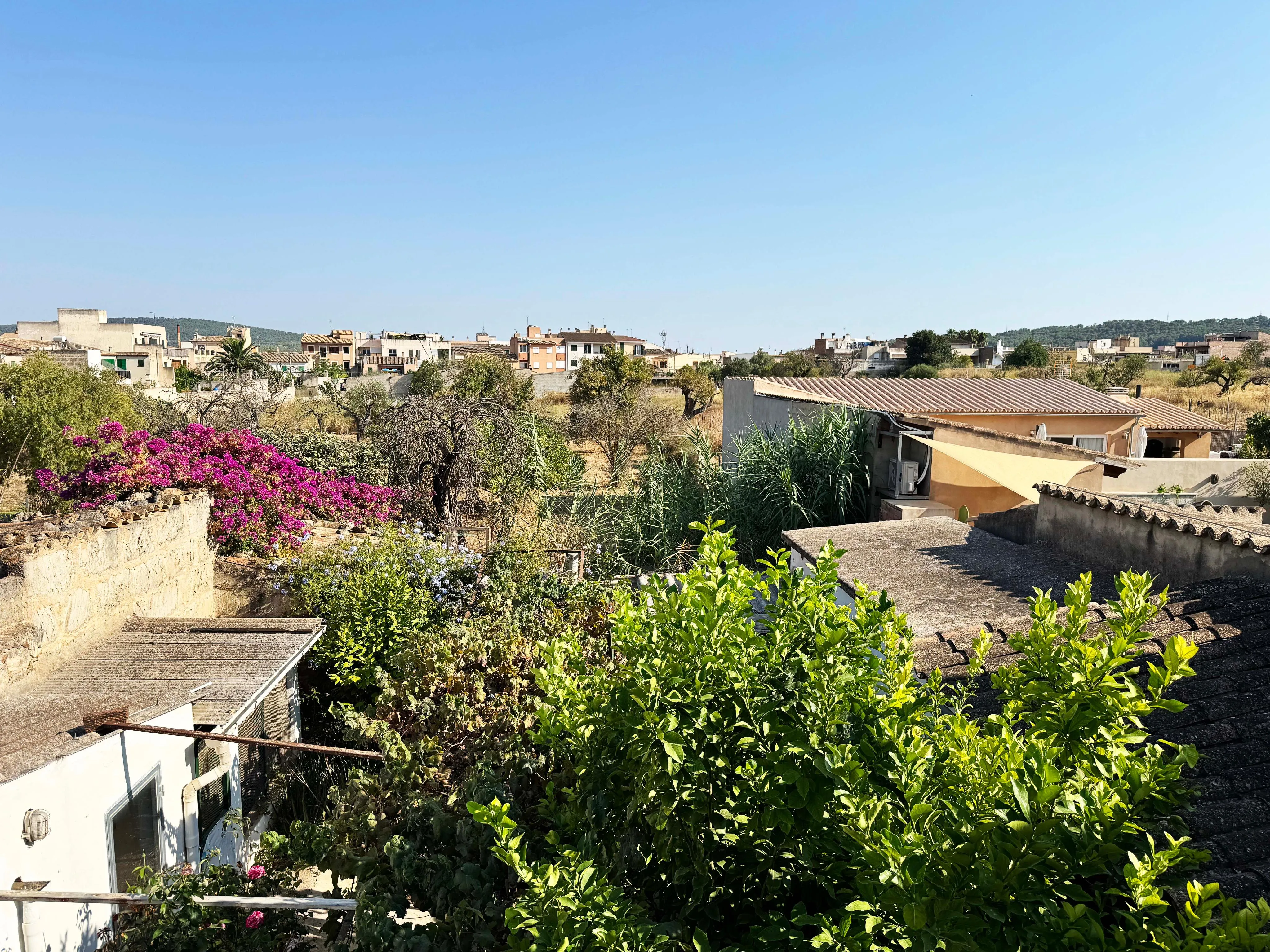 Ground-floor townhouse with expansion potential and beautiful garden-19