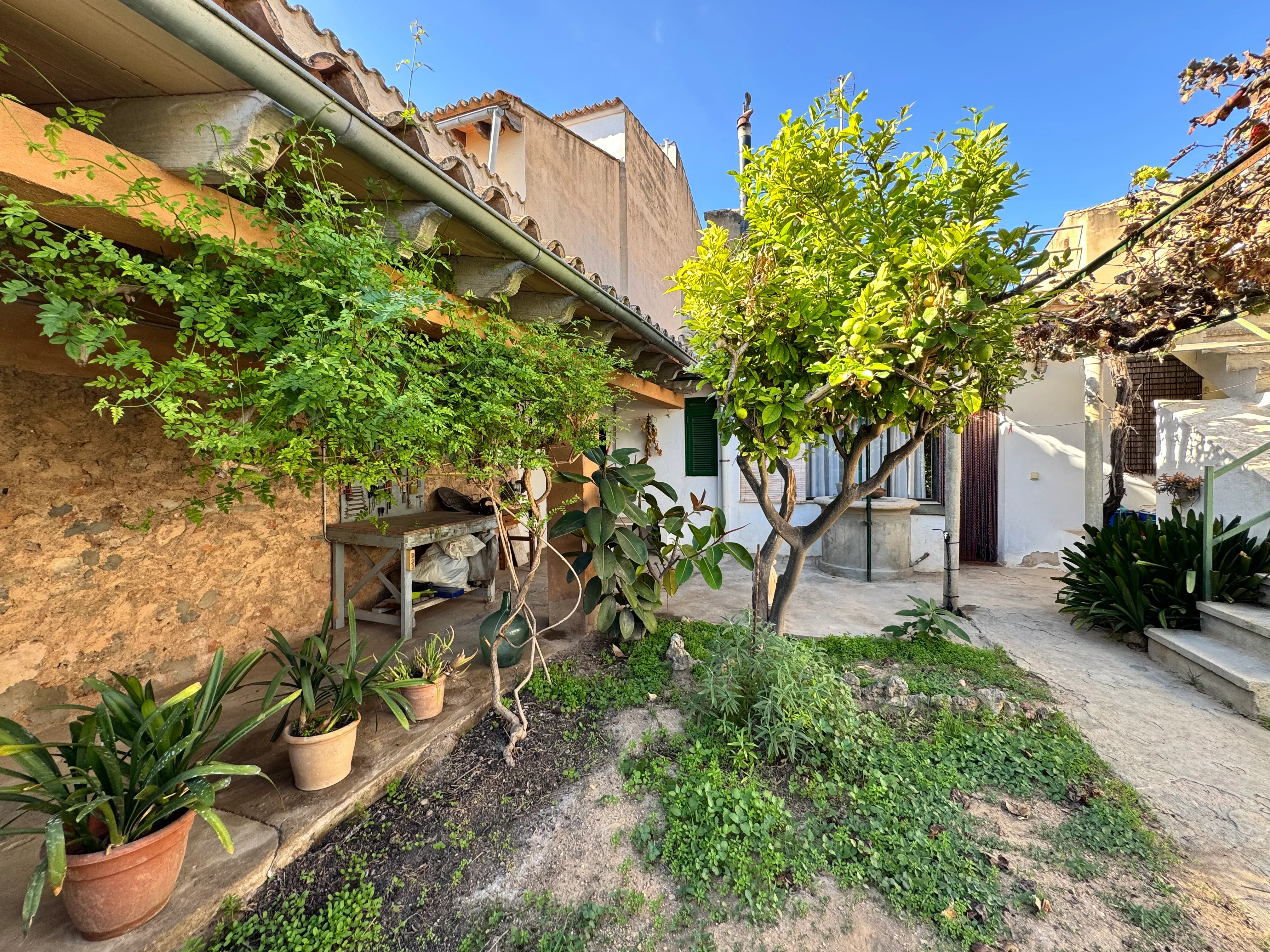 Etplans rækkehus med mulighed for udvidelse og smuk have-17