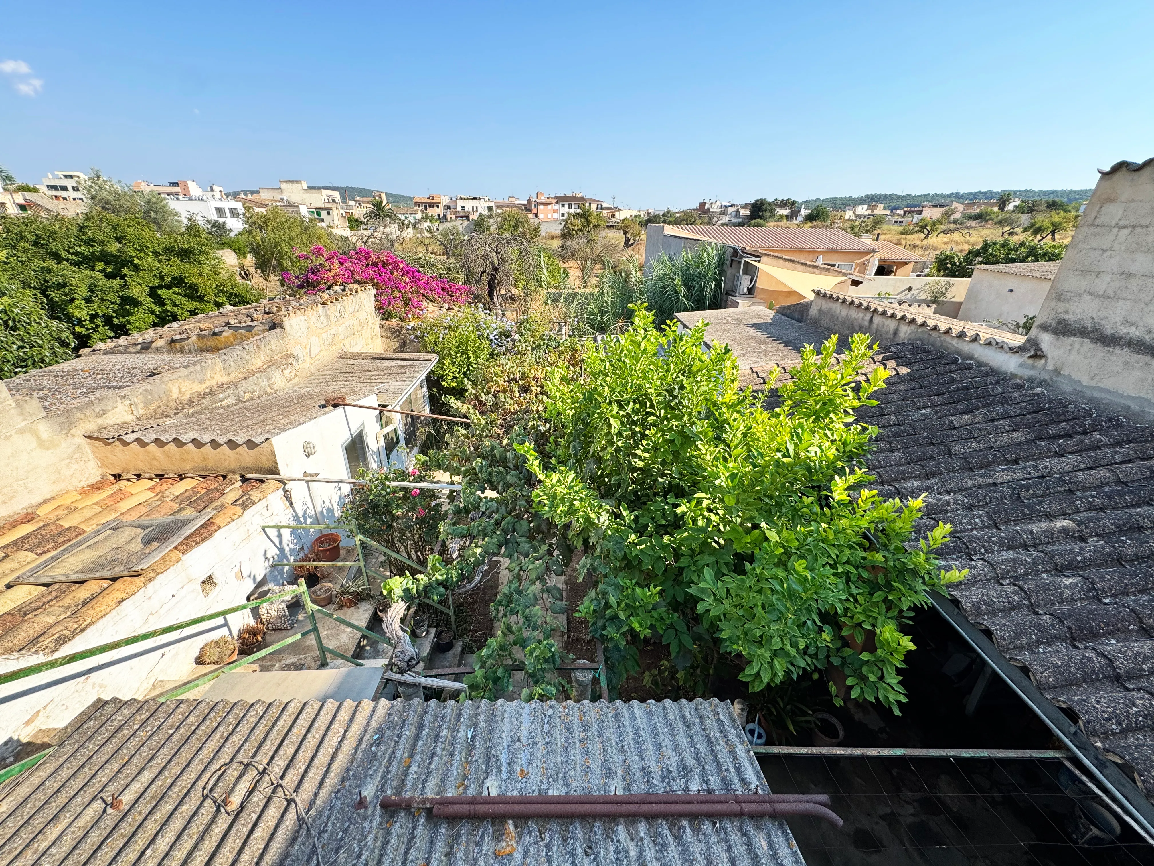 Ground-floor townhouse with expansion potential and beautiful garden-20