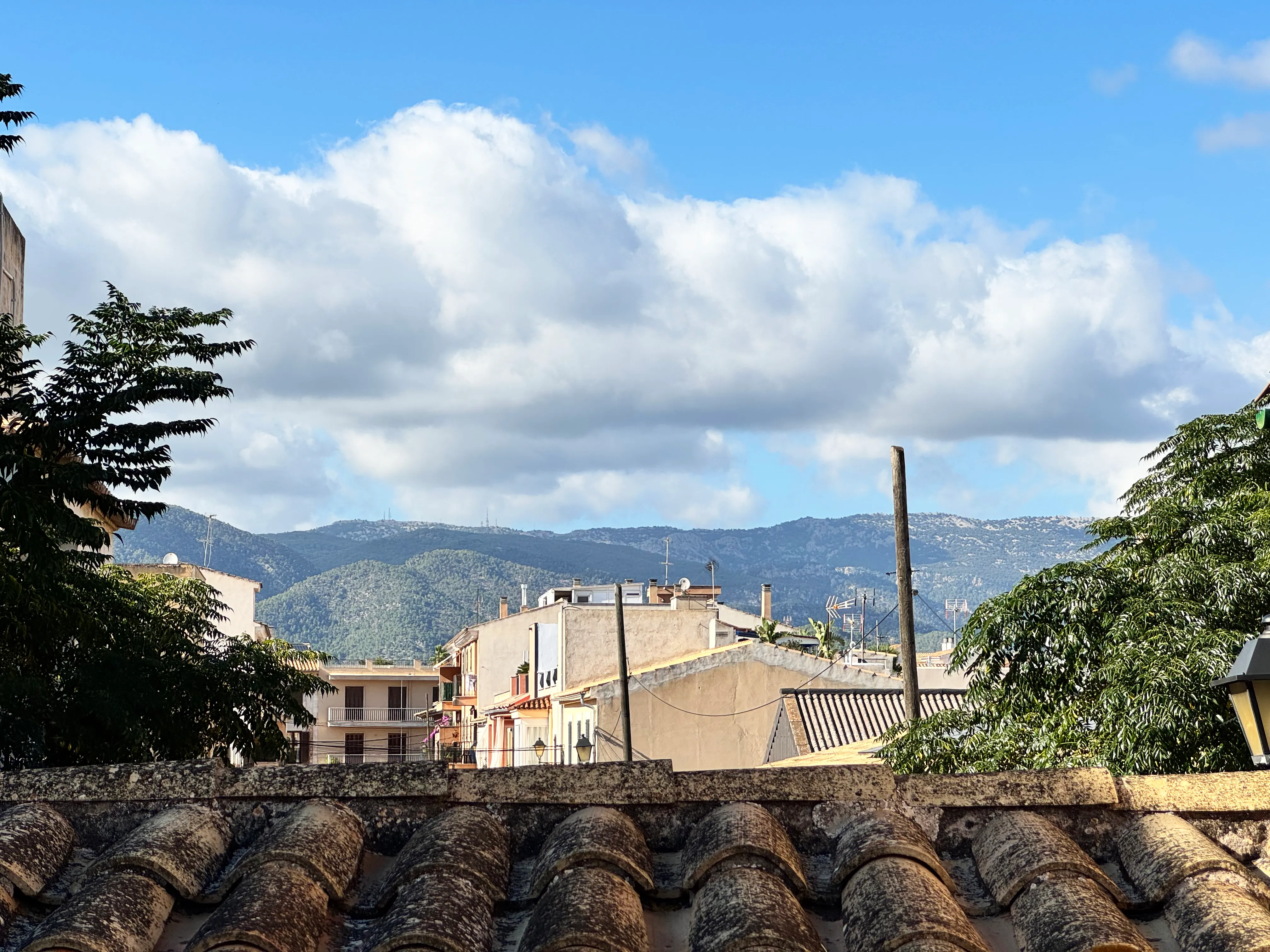 Etplans rækkehus med mulighed for udvidelse og smuk have-21