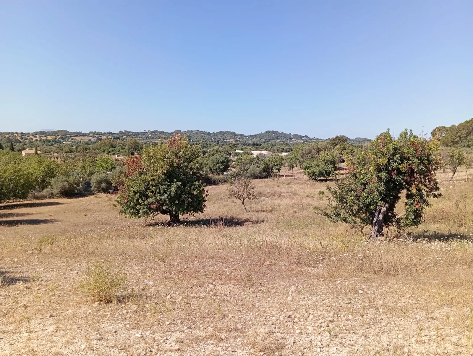 Una bonica parcel·la de terreny amb permís d'urbanització a Moscari-9