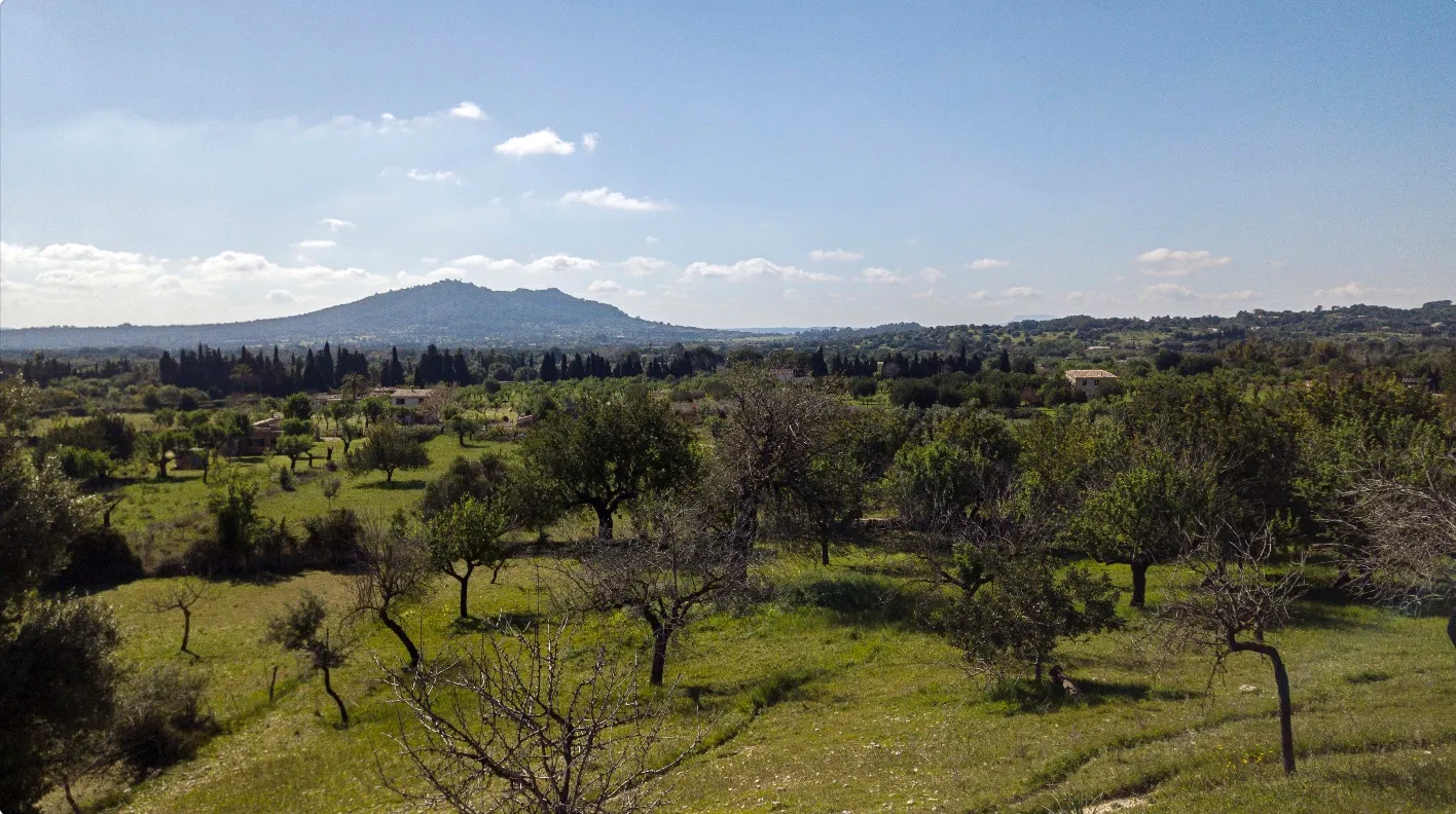 Beautiful plot with licence in Moscari-7