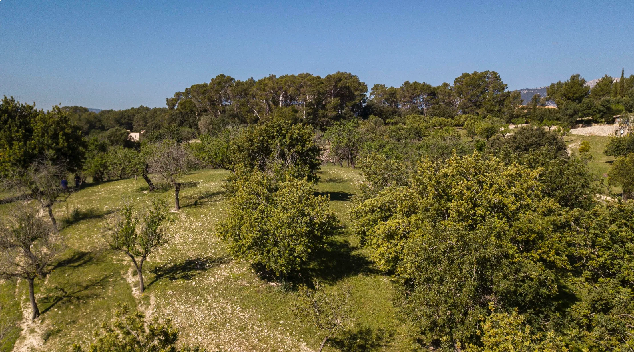 Una bonica parcel·la de terreny amb permís d'urbanització a Moscari-8