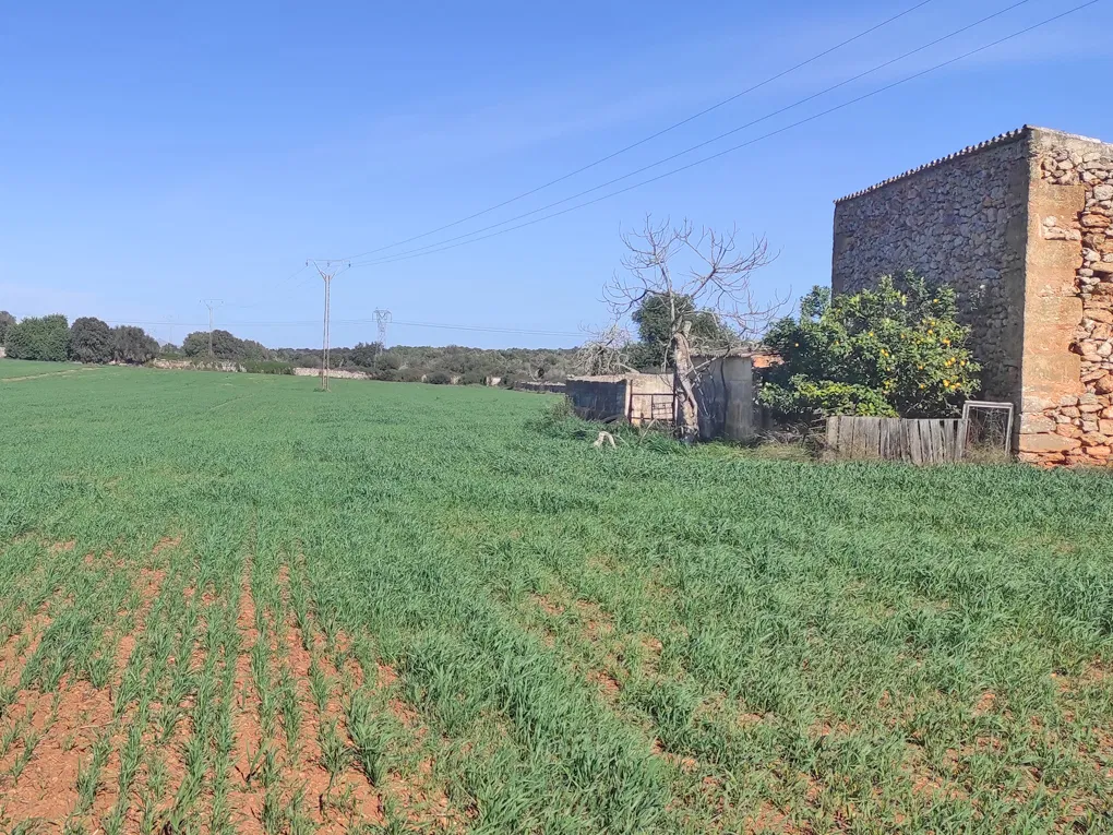 Parcel·la rural amb permís d'obres a prop de Llubi-4