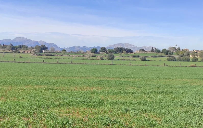 Rustykalna działka z pozwoleniem na budowę w pobliżu Llubi