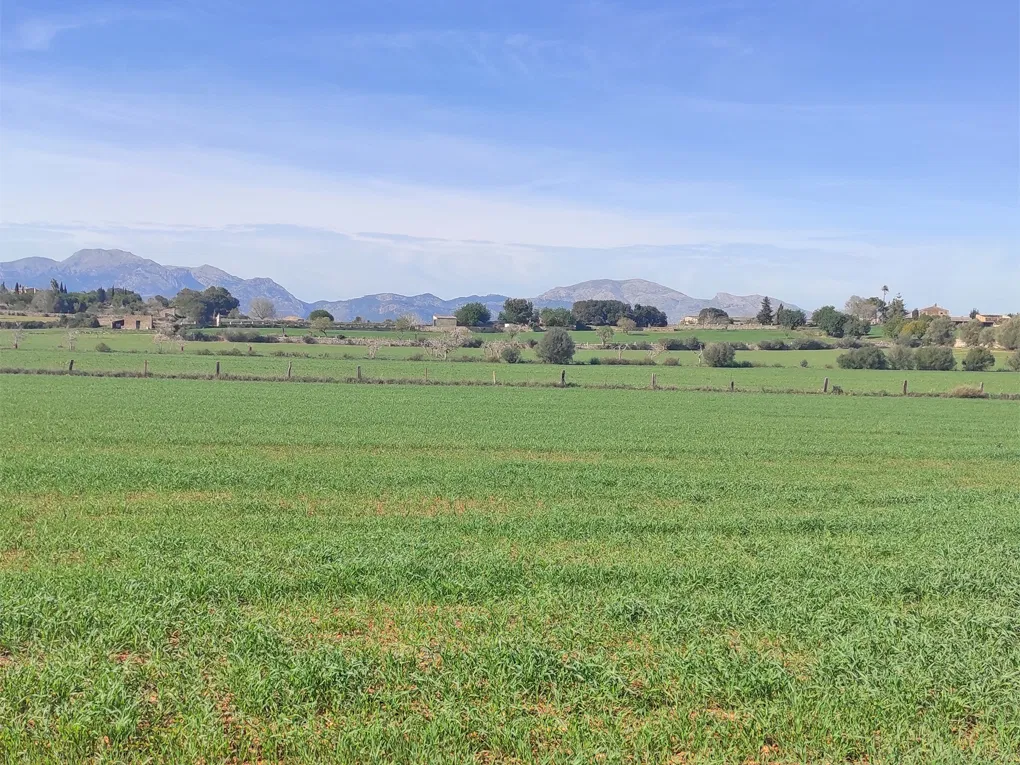 Parcel·la rural amb permís d'obres a prop de Llubi-1