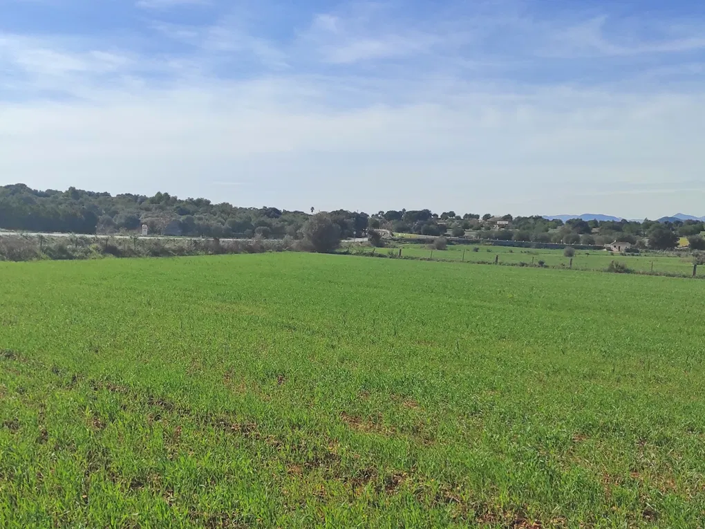 Parcel·la rural amb permís d'obres a prop de Llubi-2