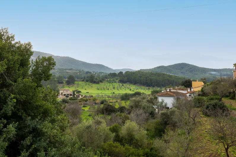 Участок с видом на юг, в нескольких минутах ходьбы от деревни Кальвиа.