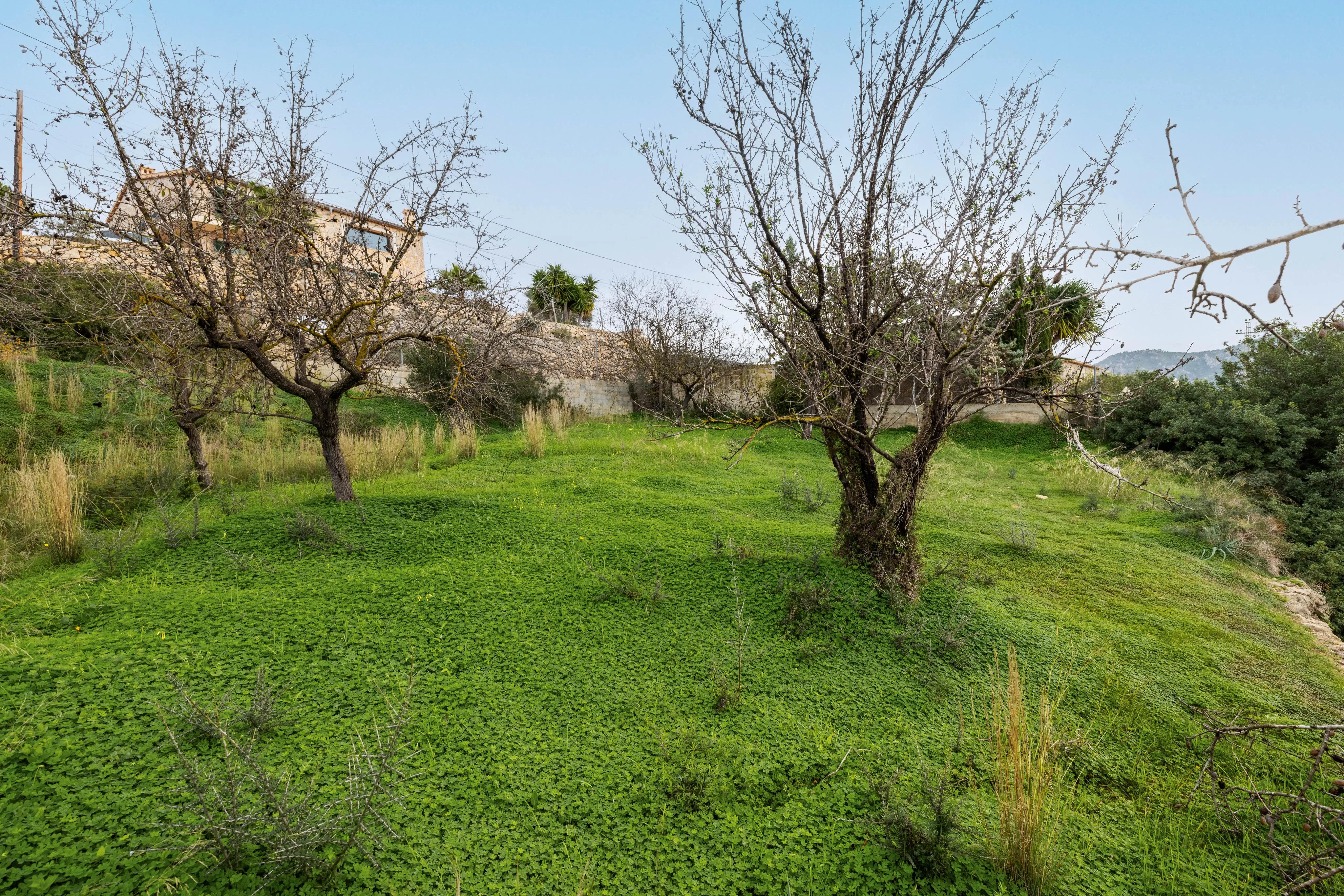 Sydvendt grund med udsigt, inden for gåafstand af landsbyen Calvià-4