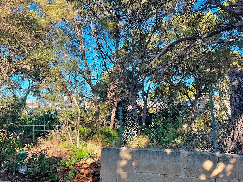 Terreno in zona ricercata-2